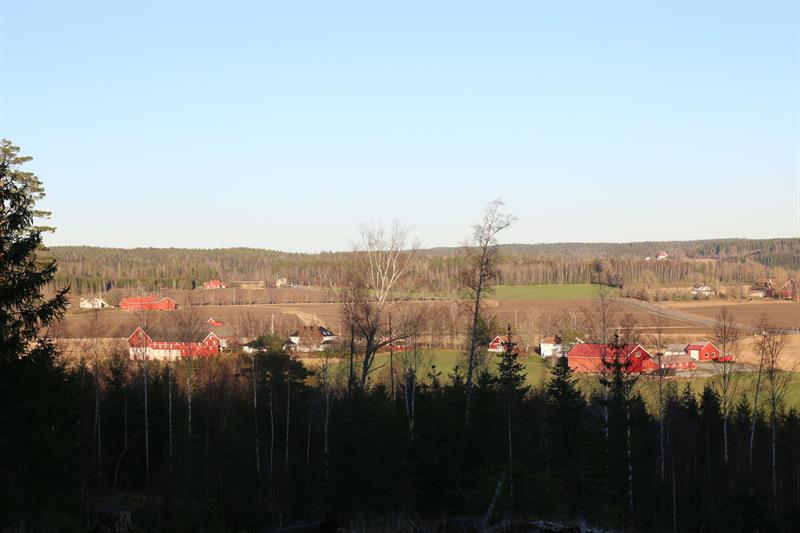 oversiktsbilde gårder og jordbrukslandskap