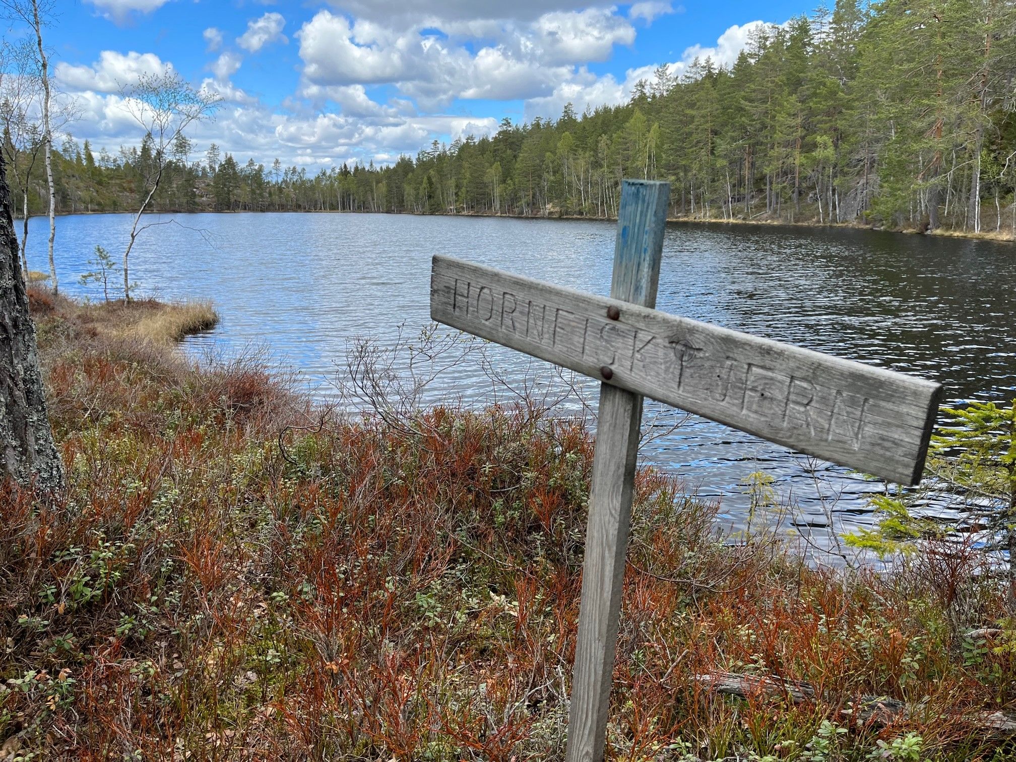 sign in the woods