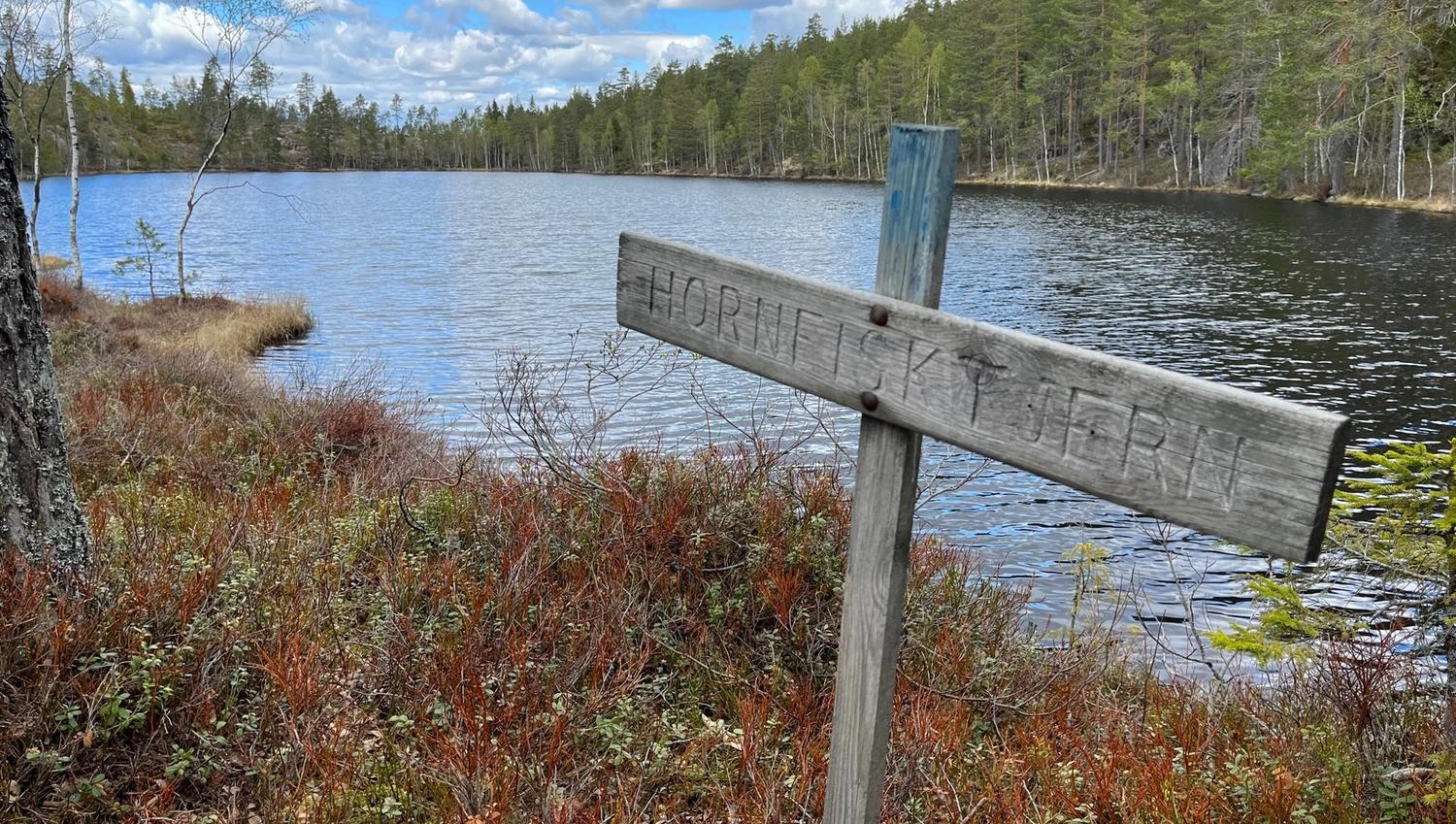 sign in the woods
