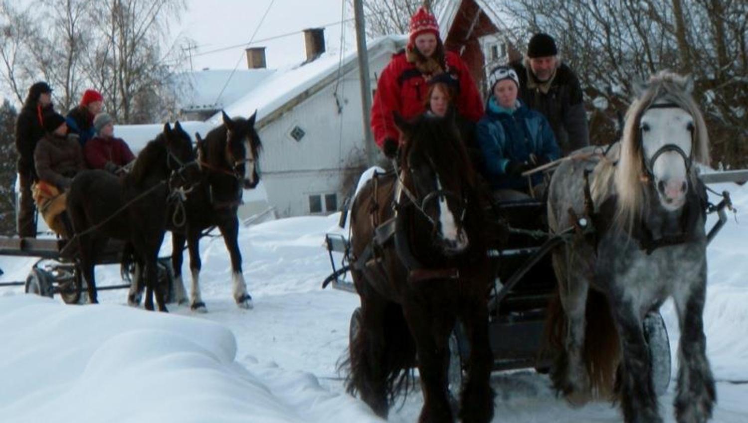 Horse & carriage