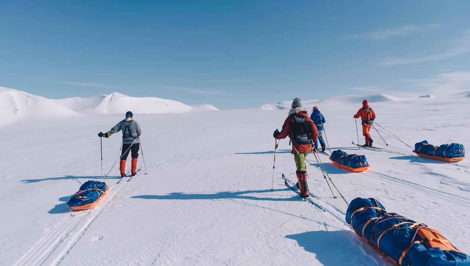 A group of skiers pulling sleds