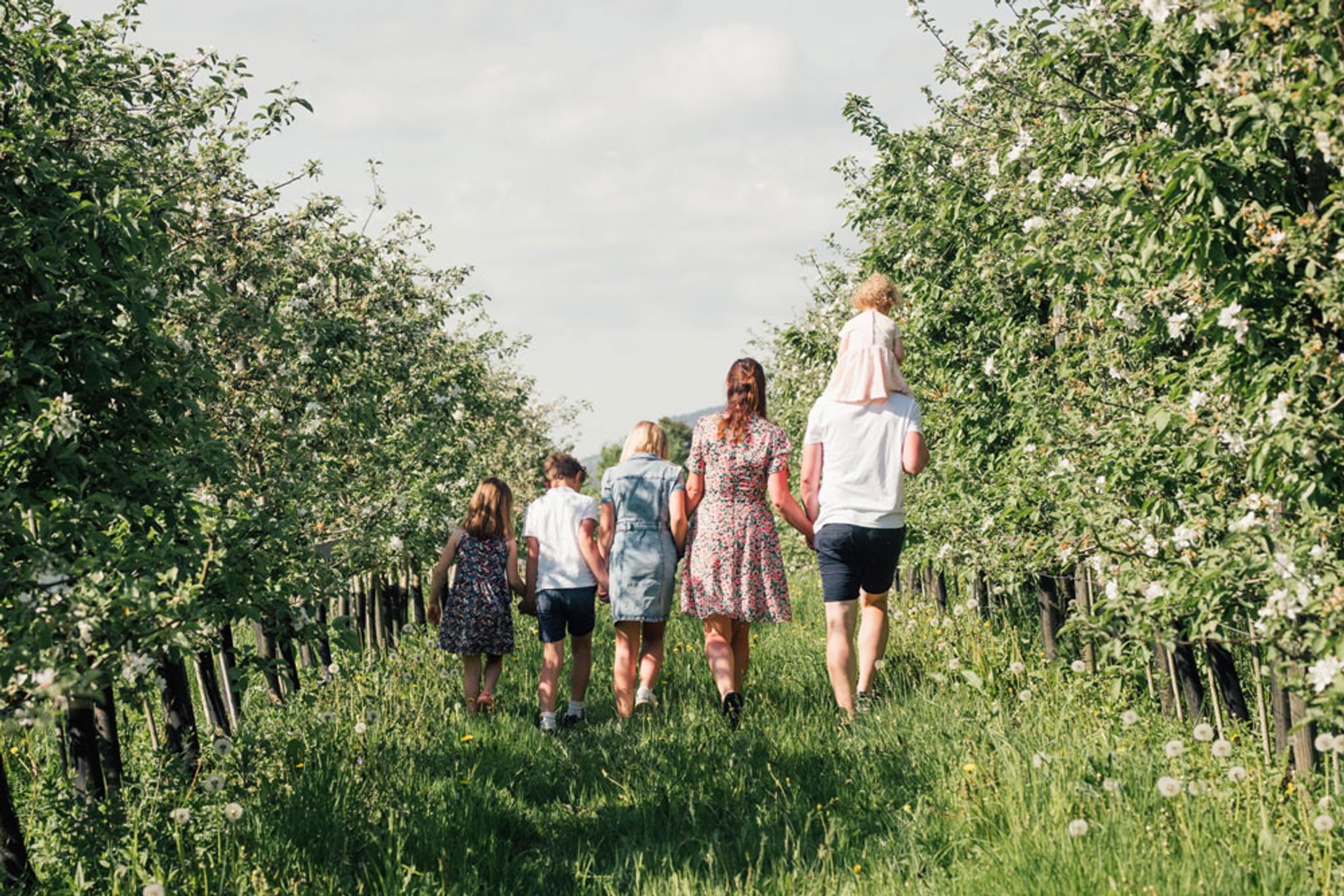 familie på 6 går langs blomstrende epletrær på Lien Gård