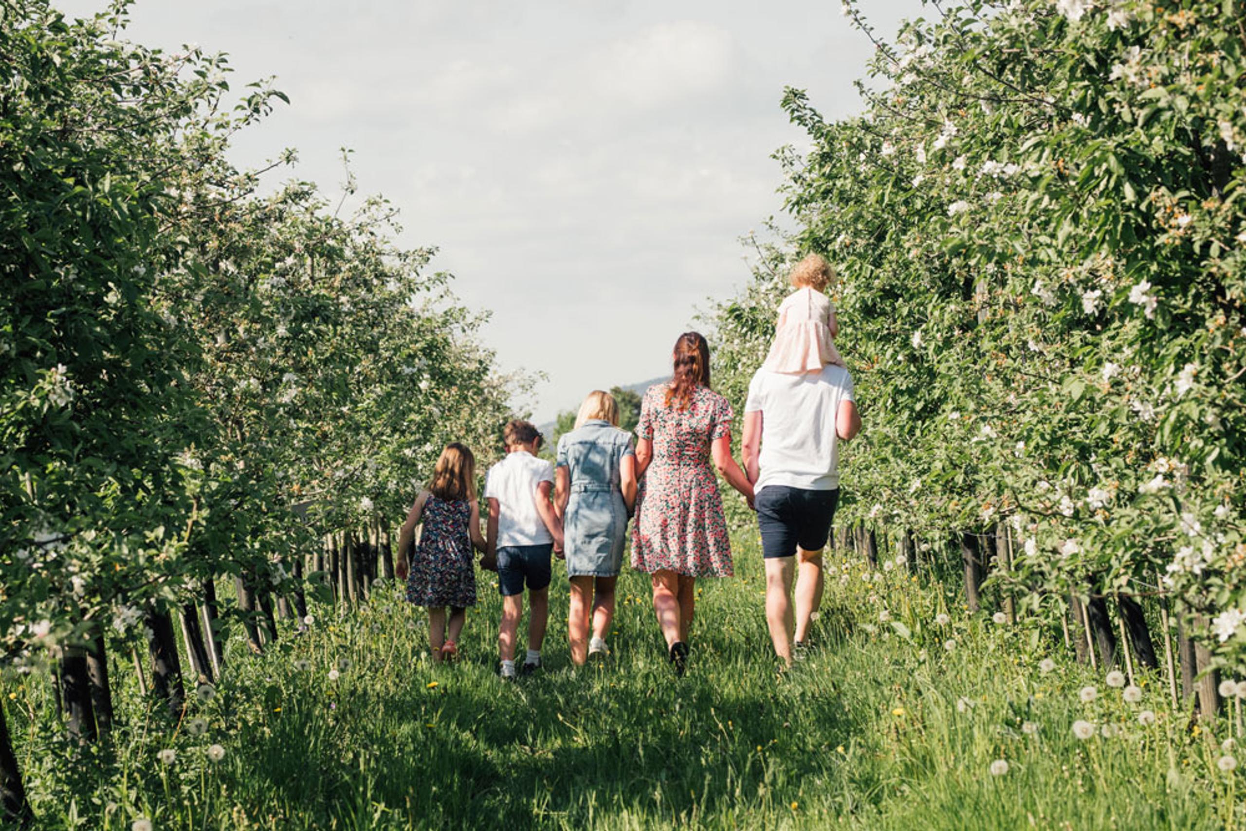 familie på 6 går langs blomstrende epletrær på Lien Gård