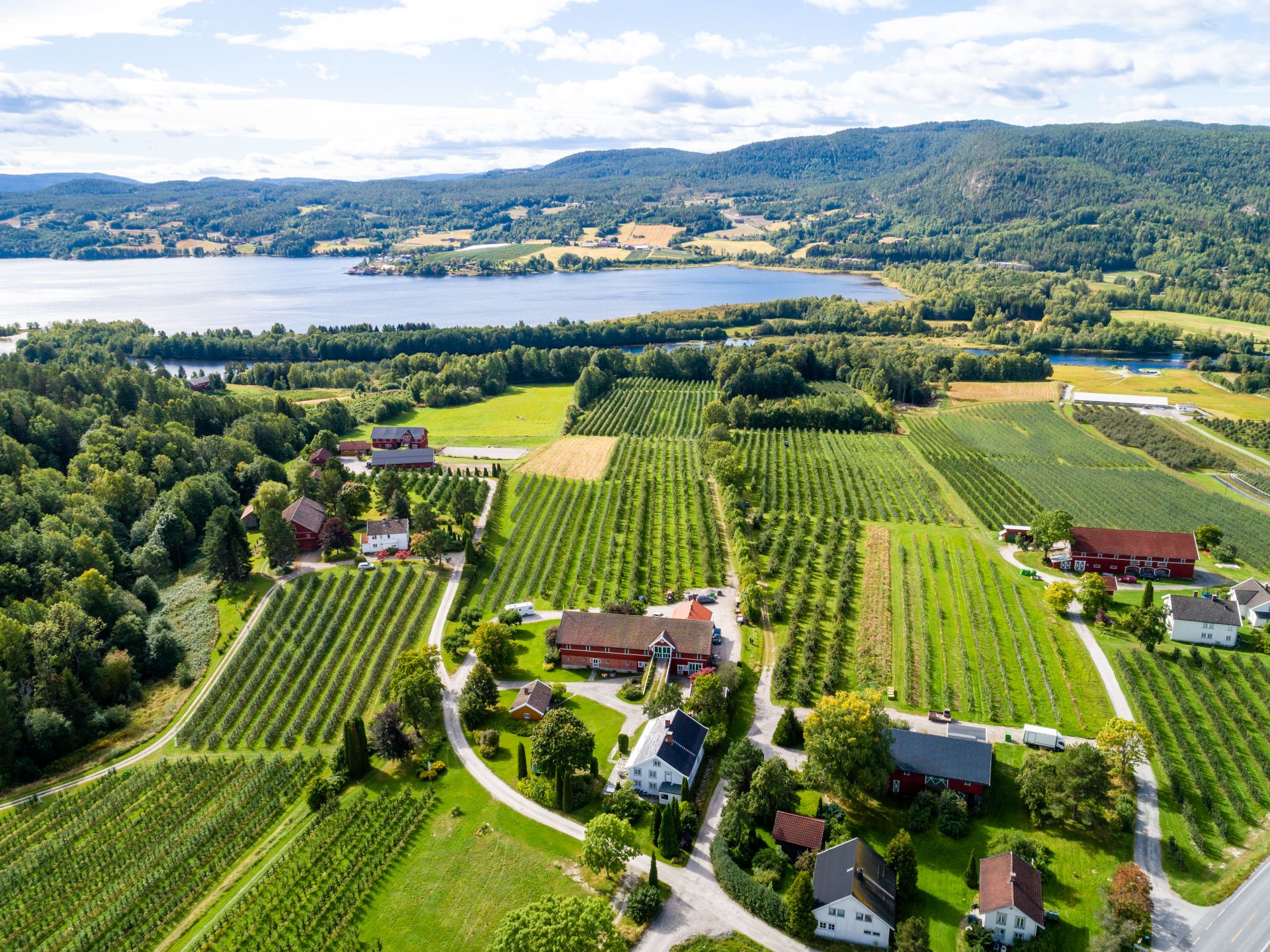 drone images of the fruit village and lake Norsjø 