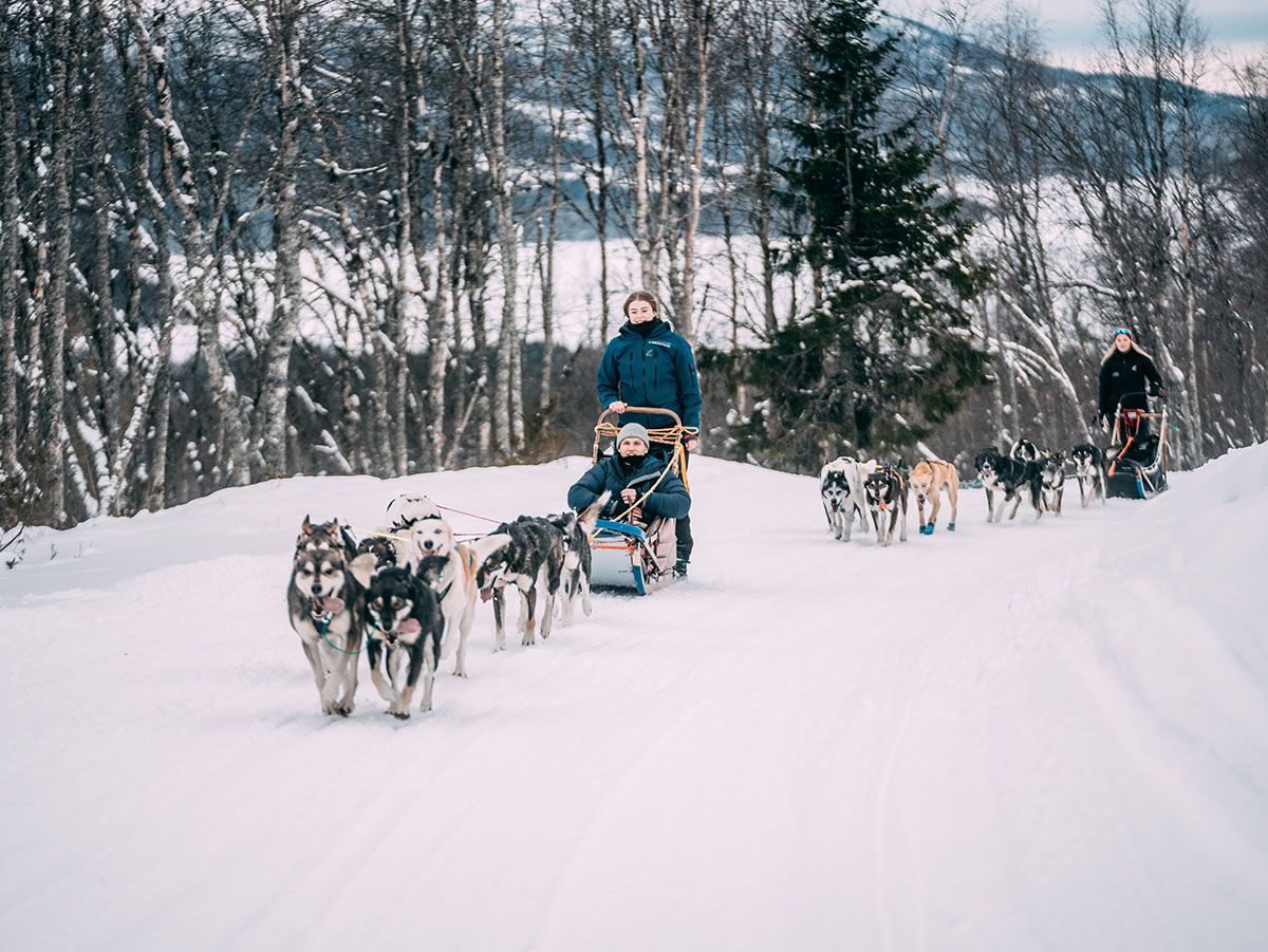 dog sledding with Telemark Husky Tour