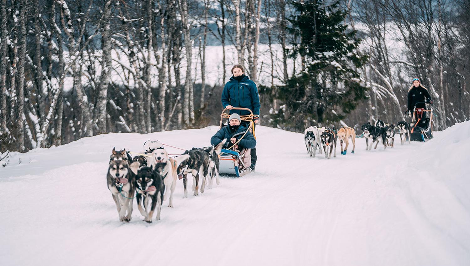 dog sledding with Telemark Husky Tour