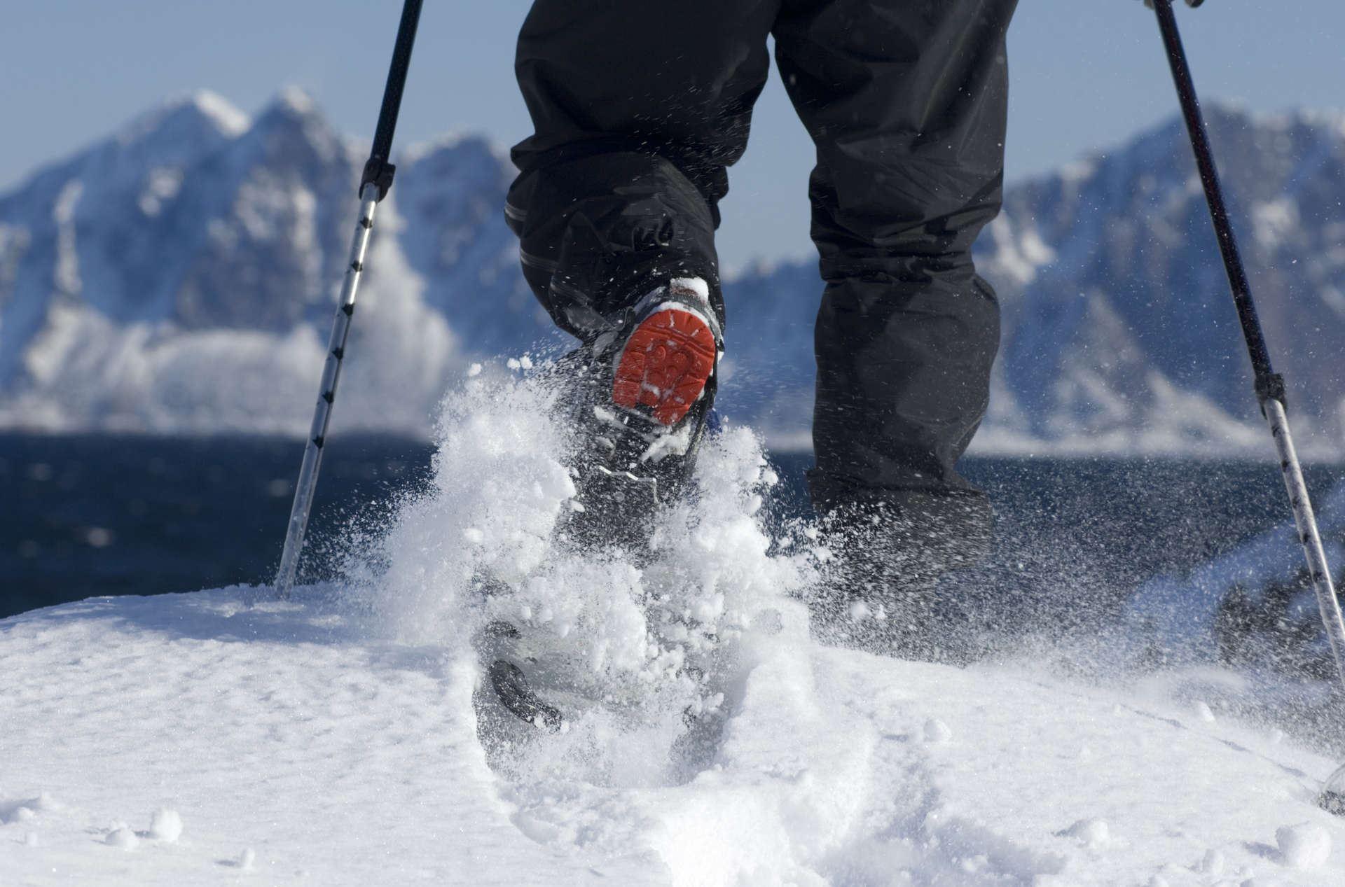Snowshoeing halfday with Lofoten Aktiv
