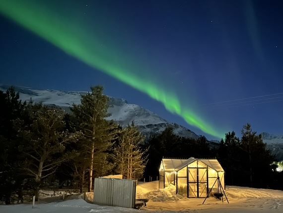 Auroa streaks across the sky in a line