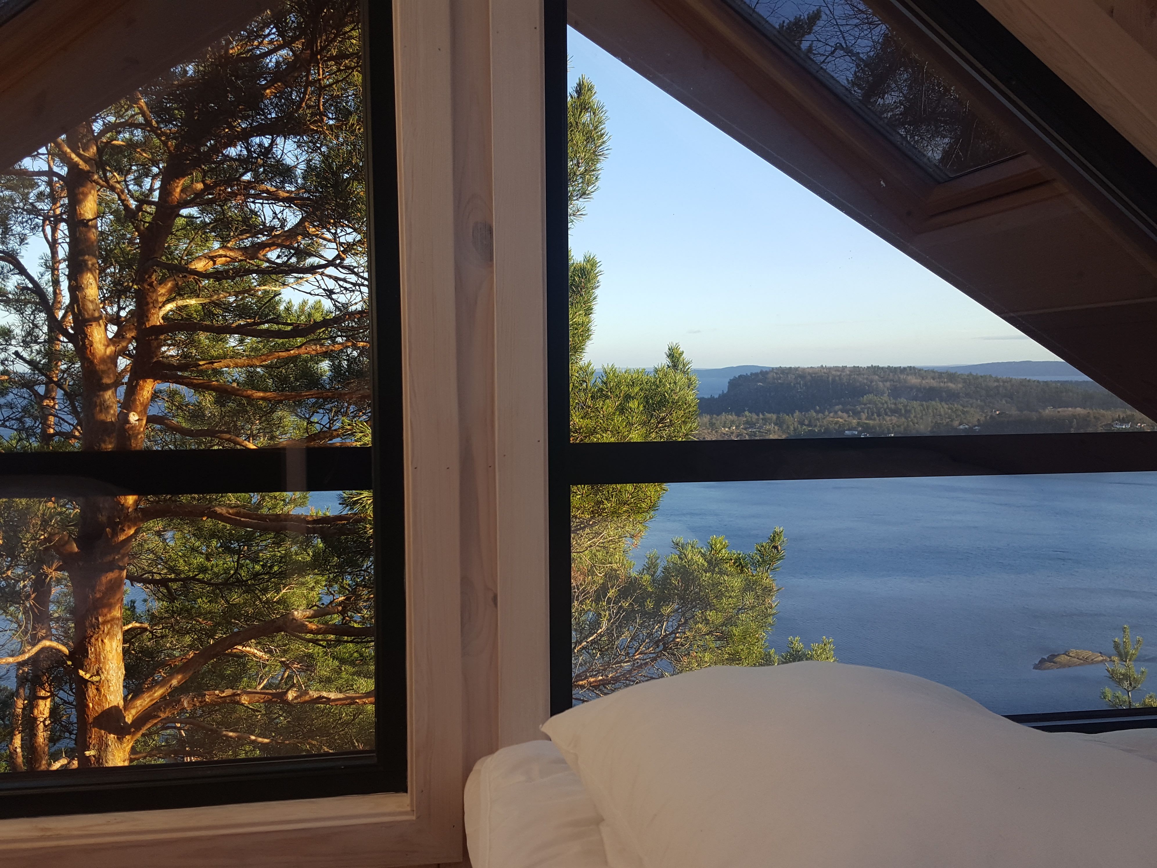 View over nature and the water from the window