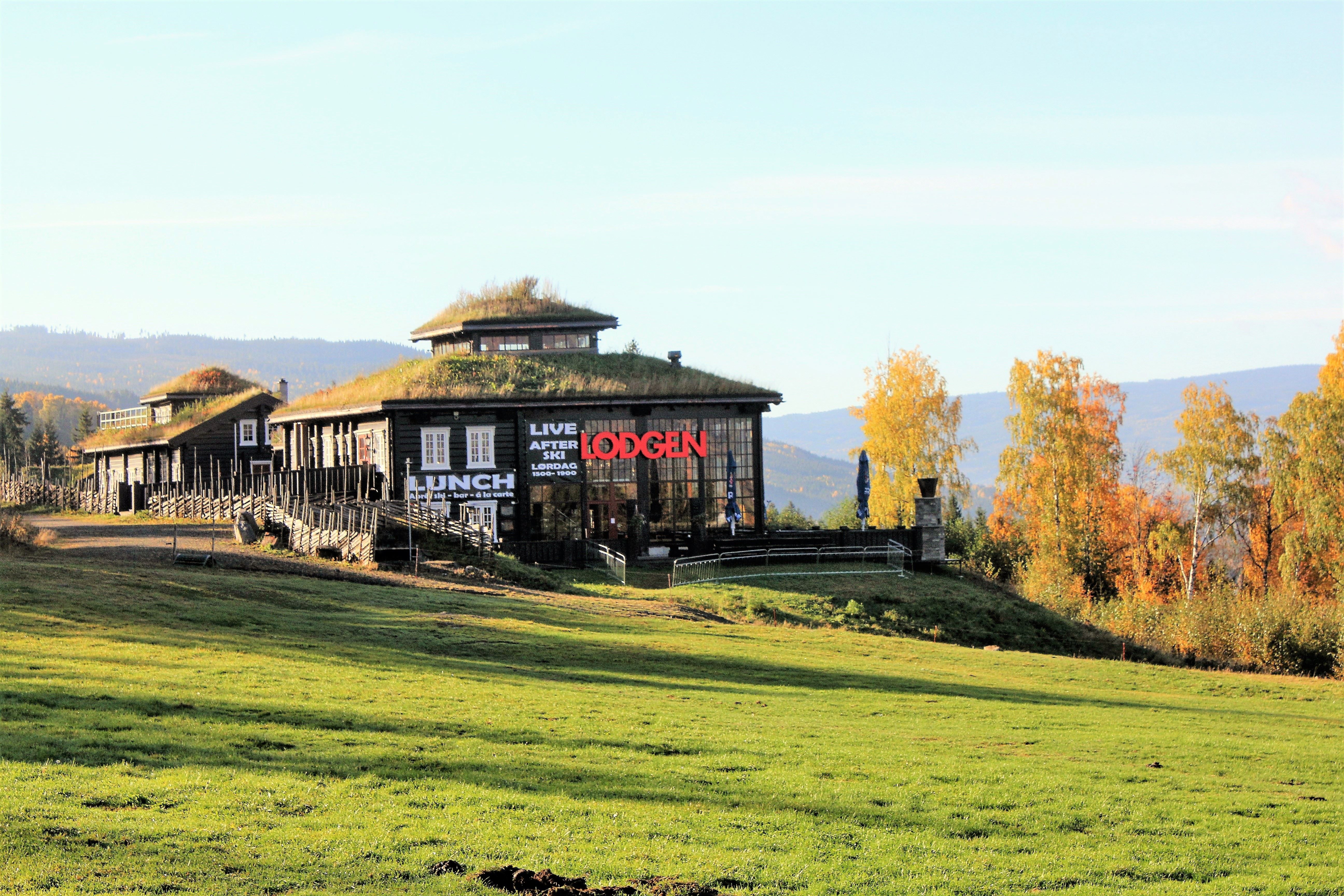 Moderne lodge med torvtak på en gresskledd ås, omgitt av høsttrær, med fjell i bakgrunnen..