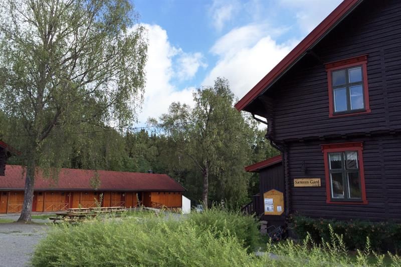 Gammelt trehus og trær.