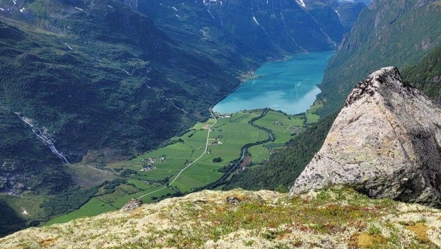 Small dog in a harness on a rocky ledge overlooking a turquoise fjord, green valley fields, and snowy mountains in Oldedalen..