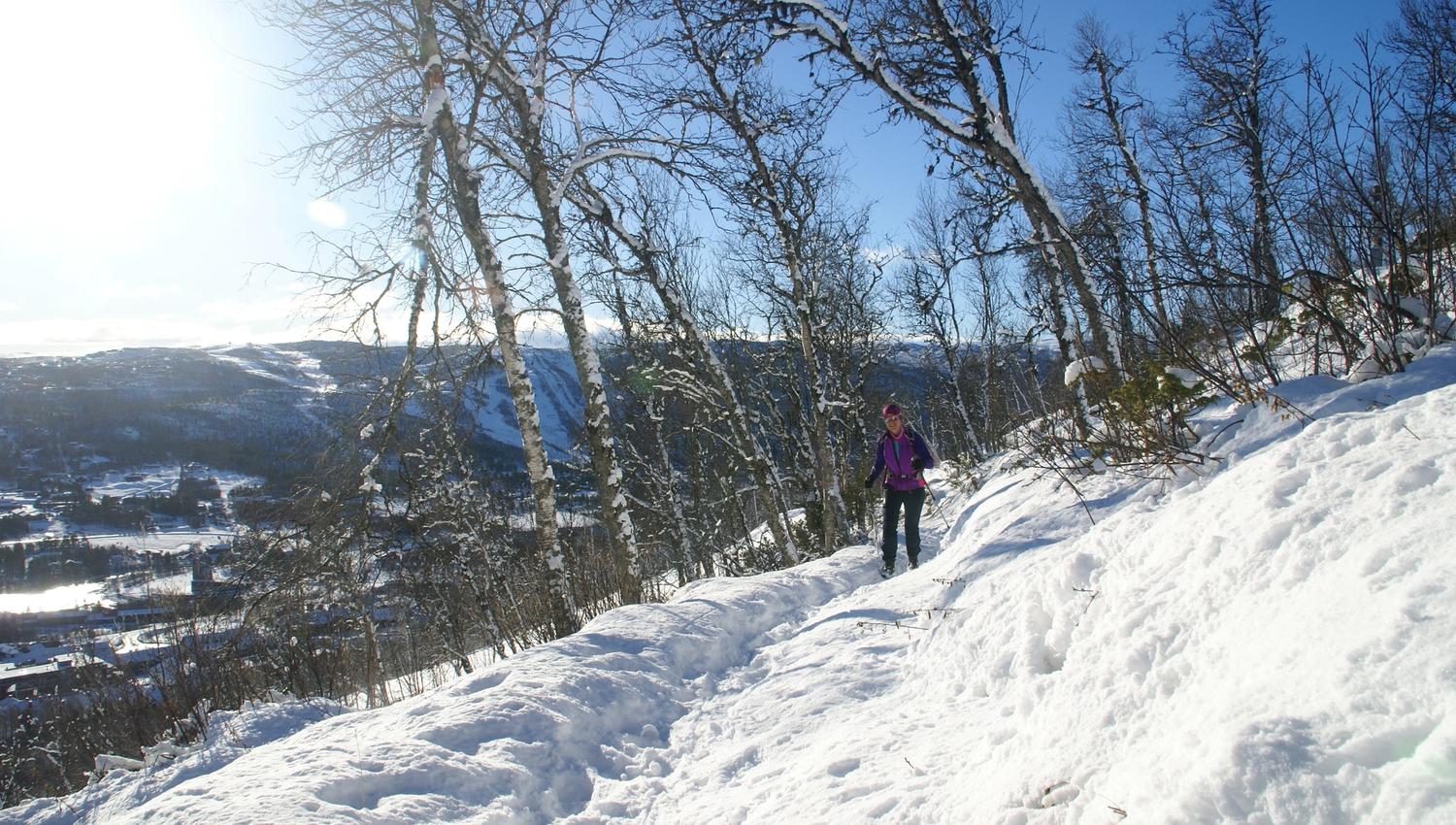 Walk where ever you want on snowshoes