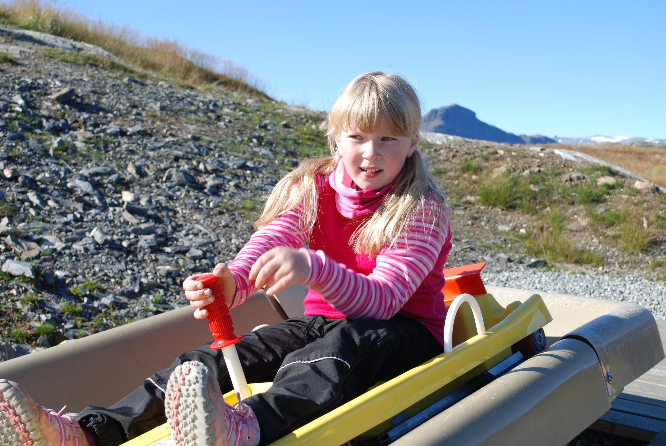 Beitostølen Summer Alpine Sledge