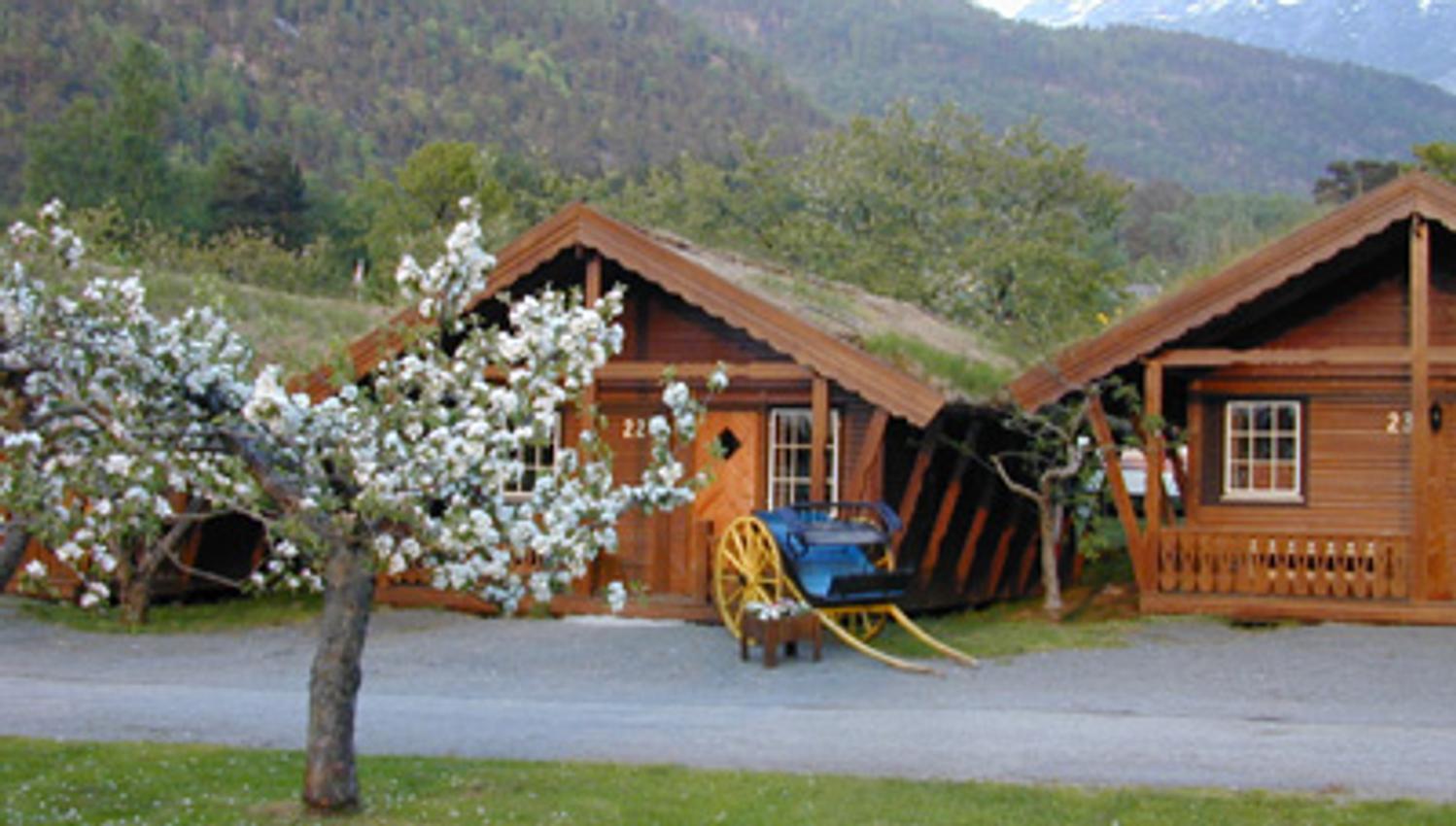 Charmante Blockhütten in wunderschöner Umgebung im Mikkelparken Ferietun, mit blühenden Obstbäumen und Bergen im Hintergrund.
