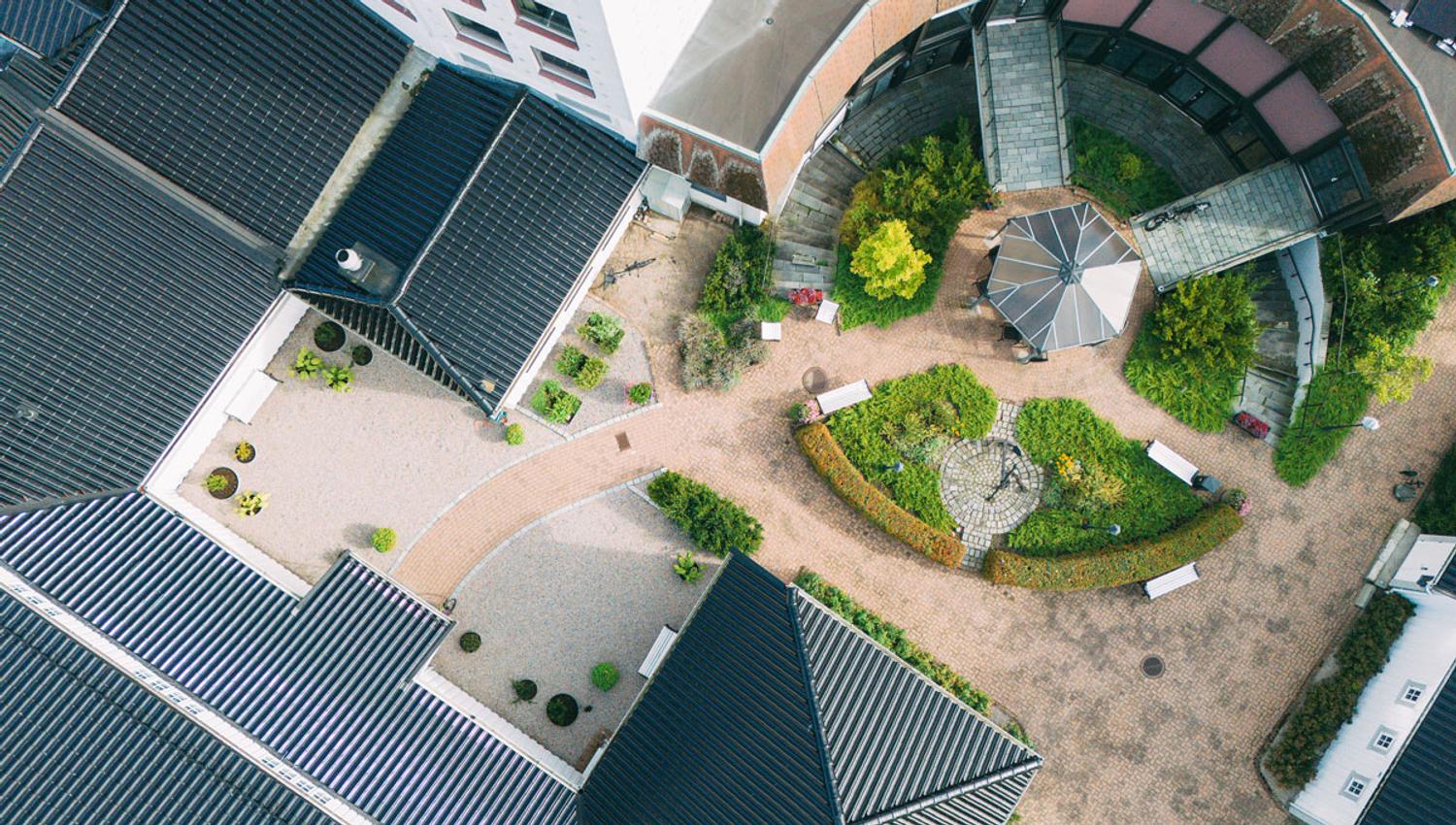 the back garden at Hotel Vic