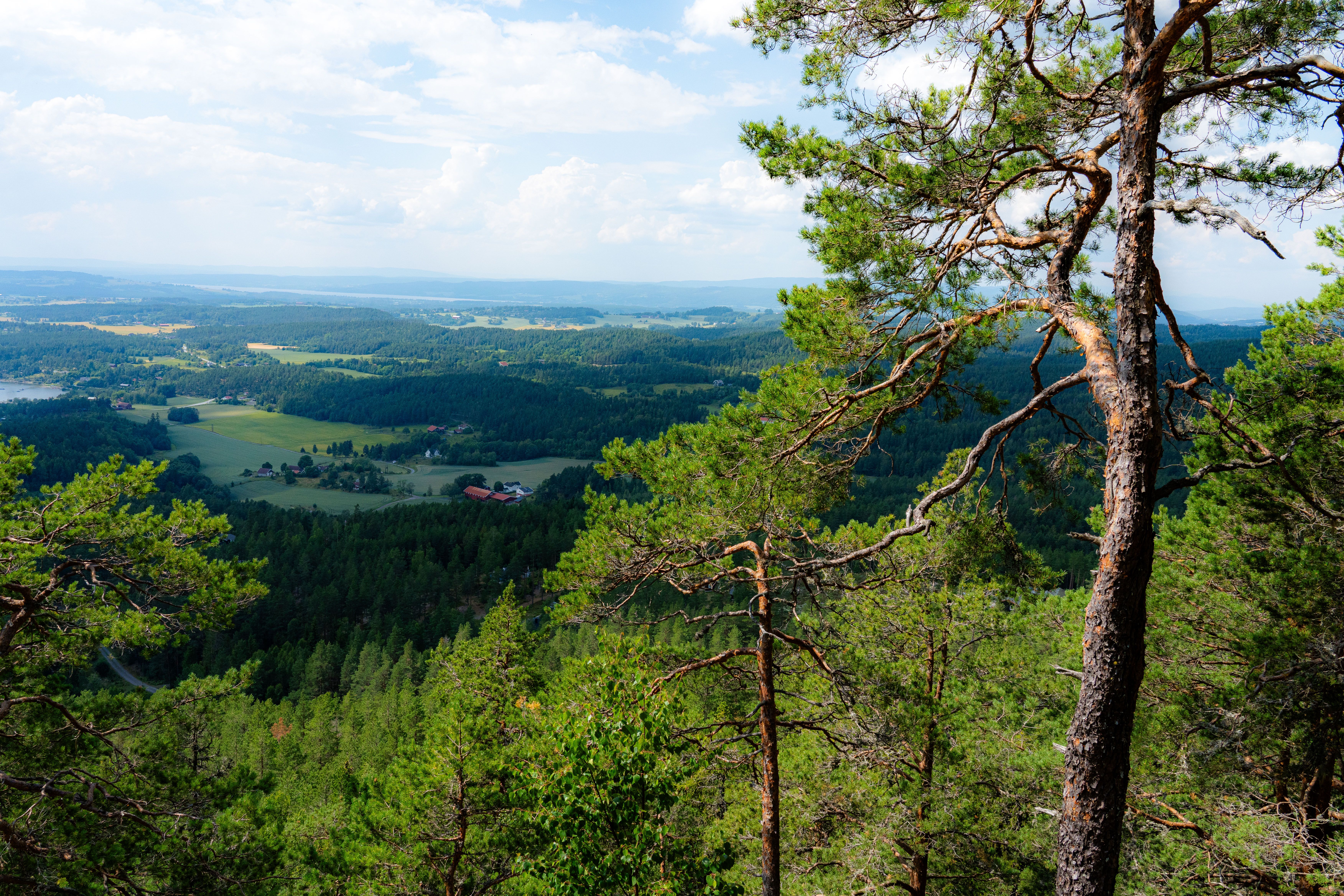 Djevelens Punsjebolle og Tiurtoppen - Ringerike
