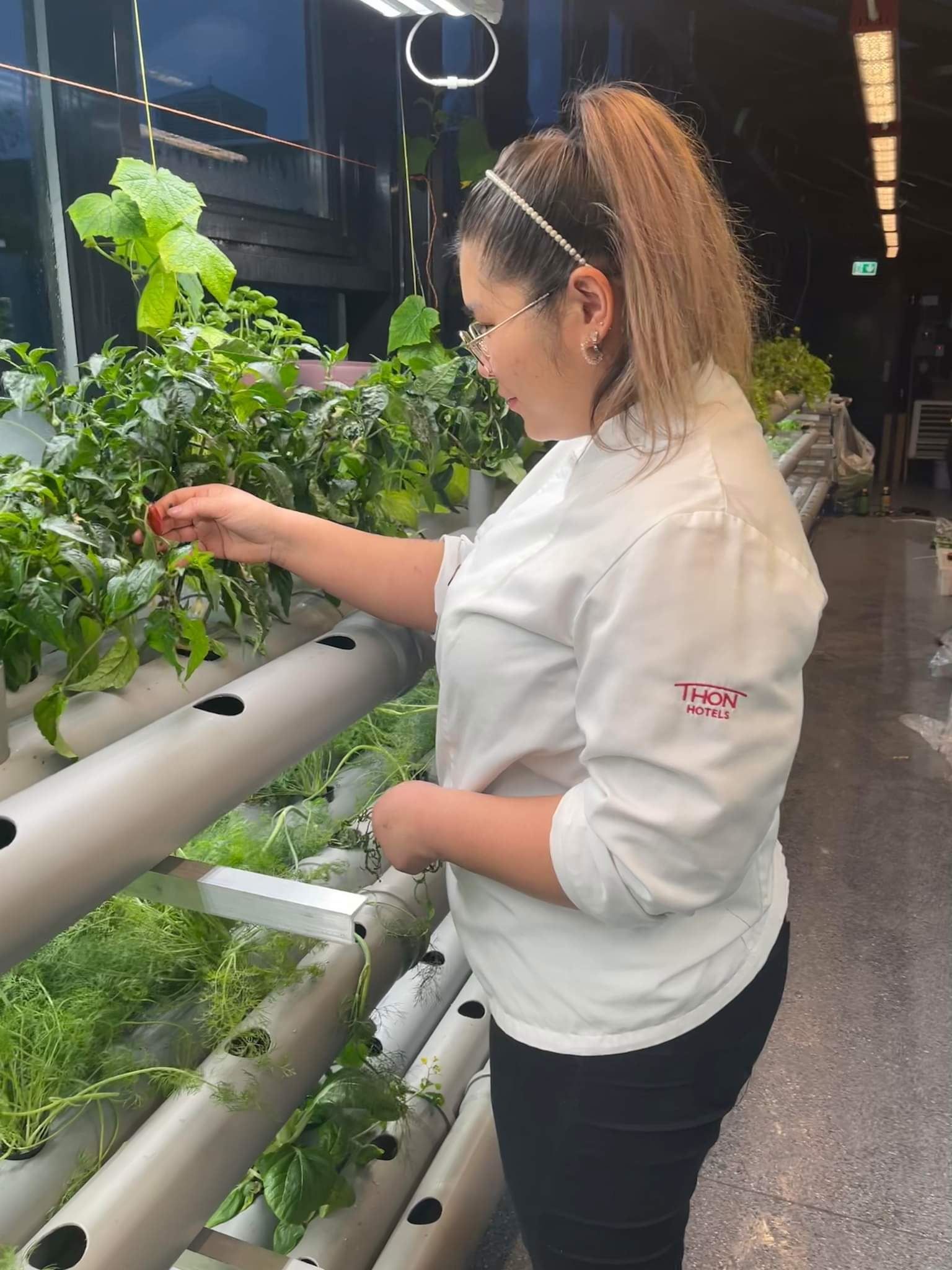 Rooftop Greenhouse