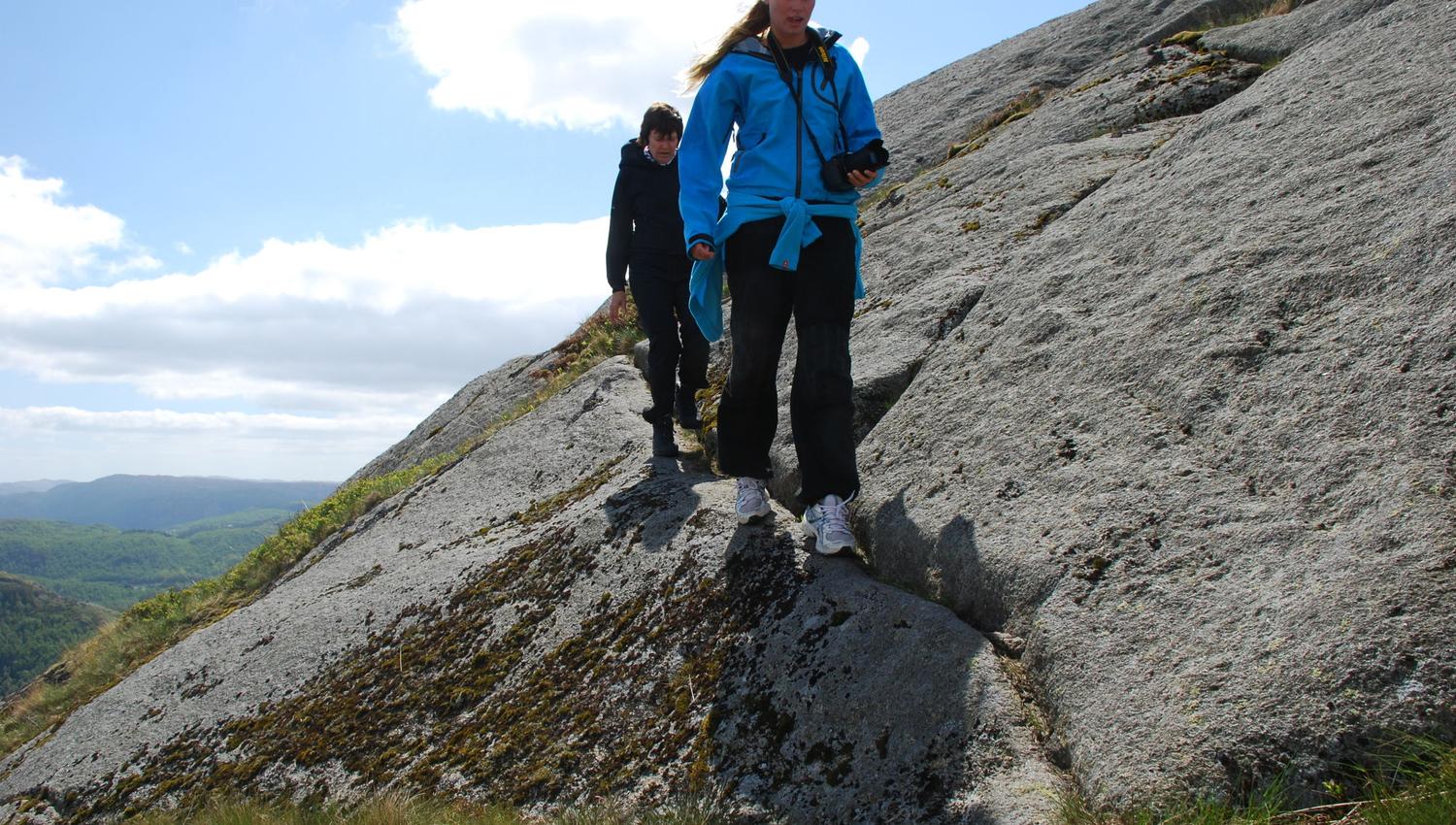 Gullbergtua