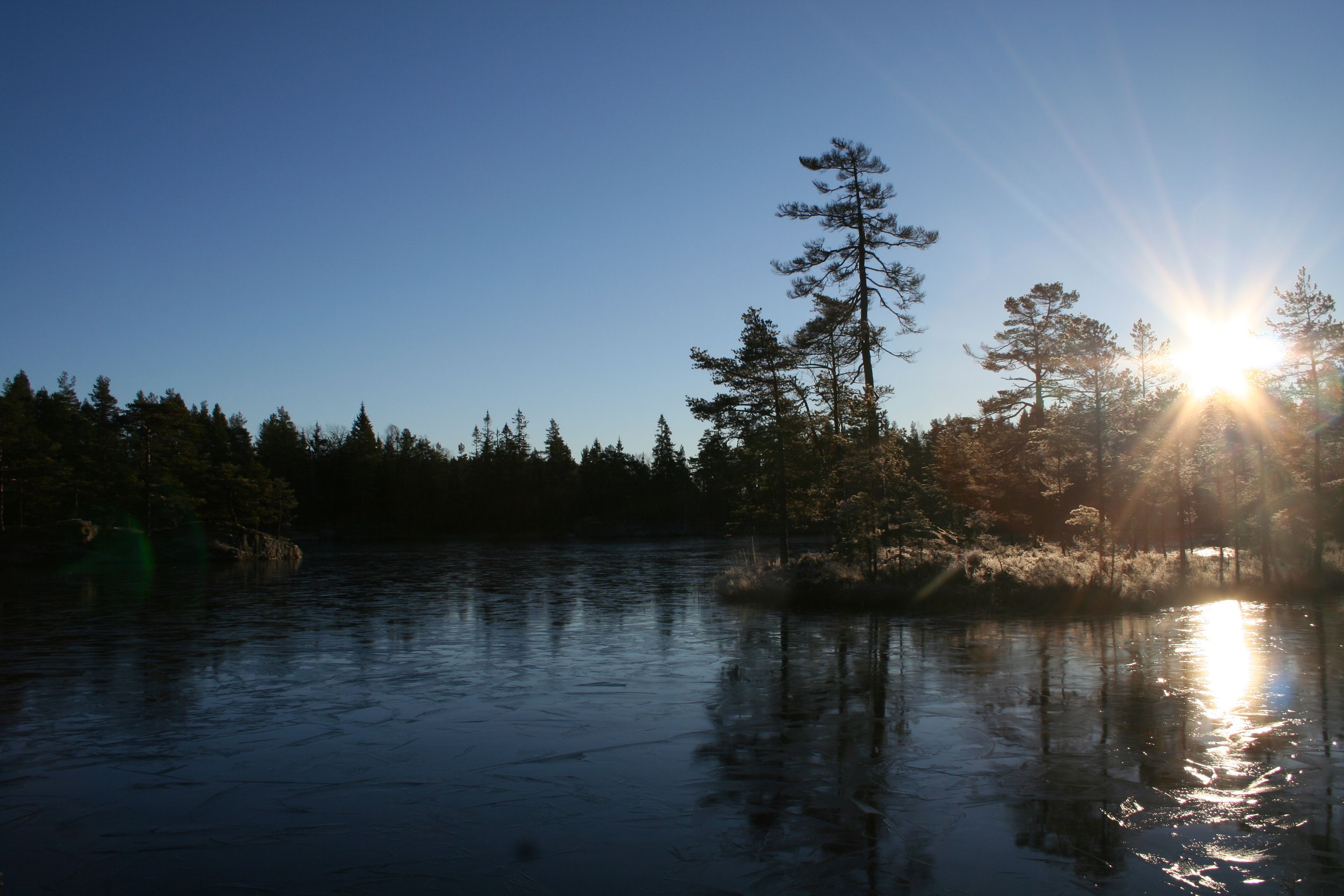 Tur i skogen