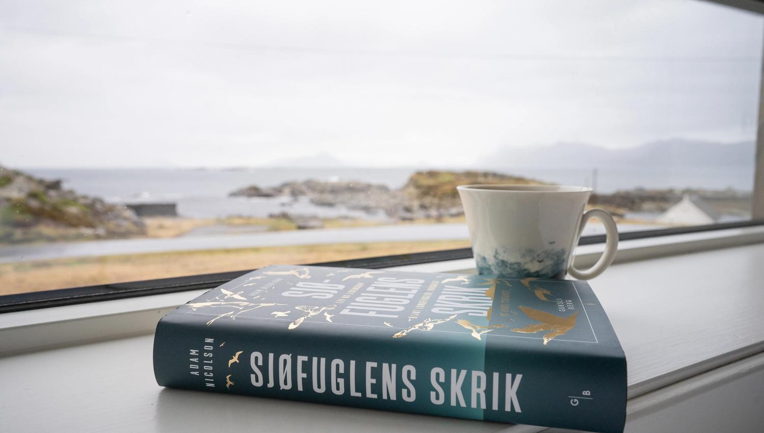 Avslappende utsikt med ei god bok og en kopp te