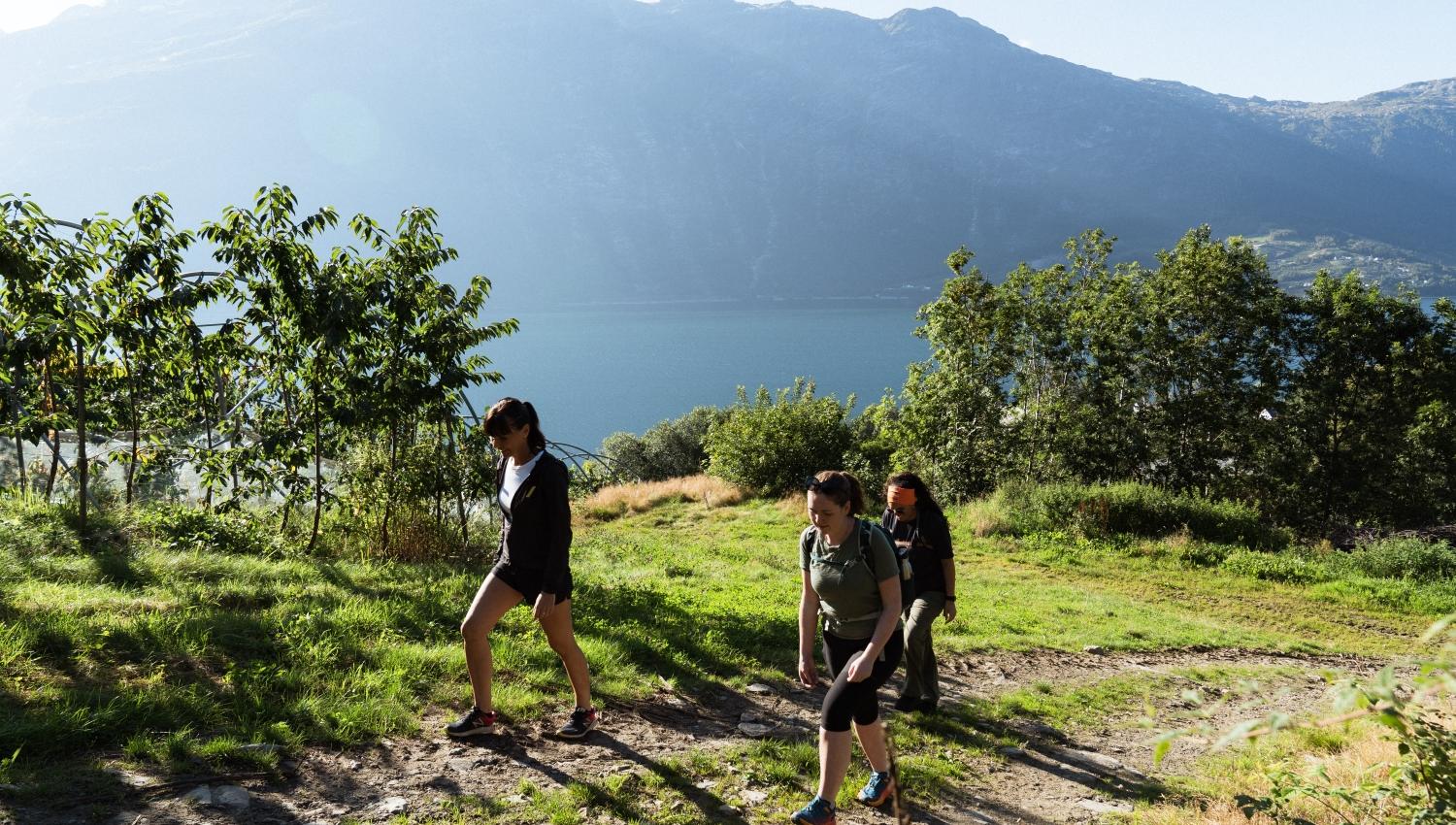 Three women walking up a gravel road with mountains, fjord and cherry trees in the background.