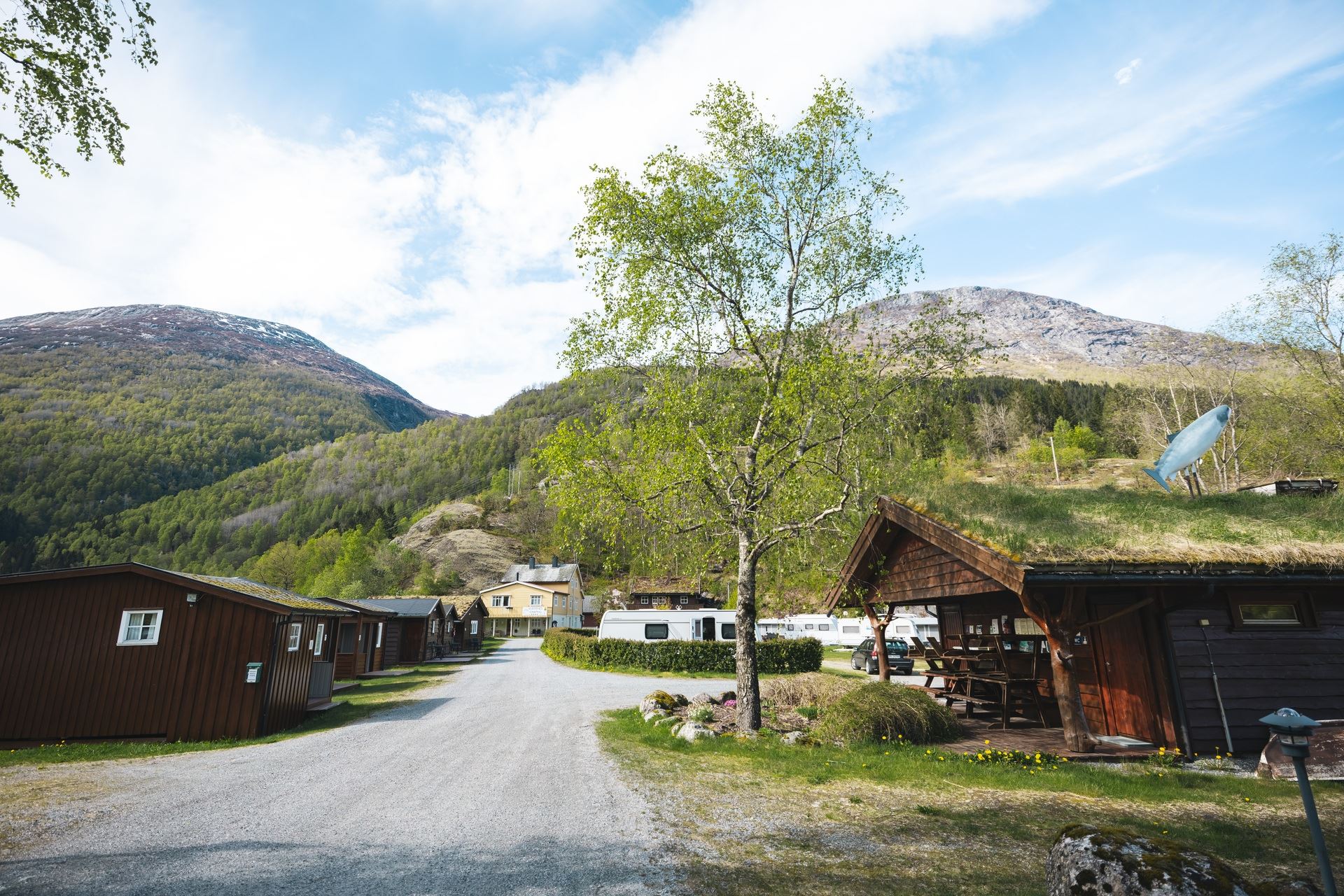 Gravel road through a cabin campground with a leafy tree, picnic shelter, and green mountains under a blue sky..