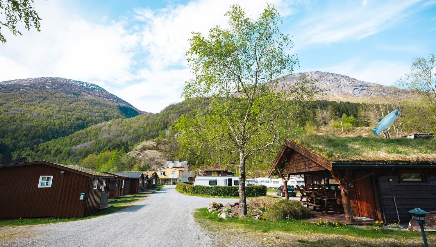 Gravel road through a cabin campground with a leafy tree, picnic shelter, and green mountains under a blue sky..