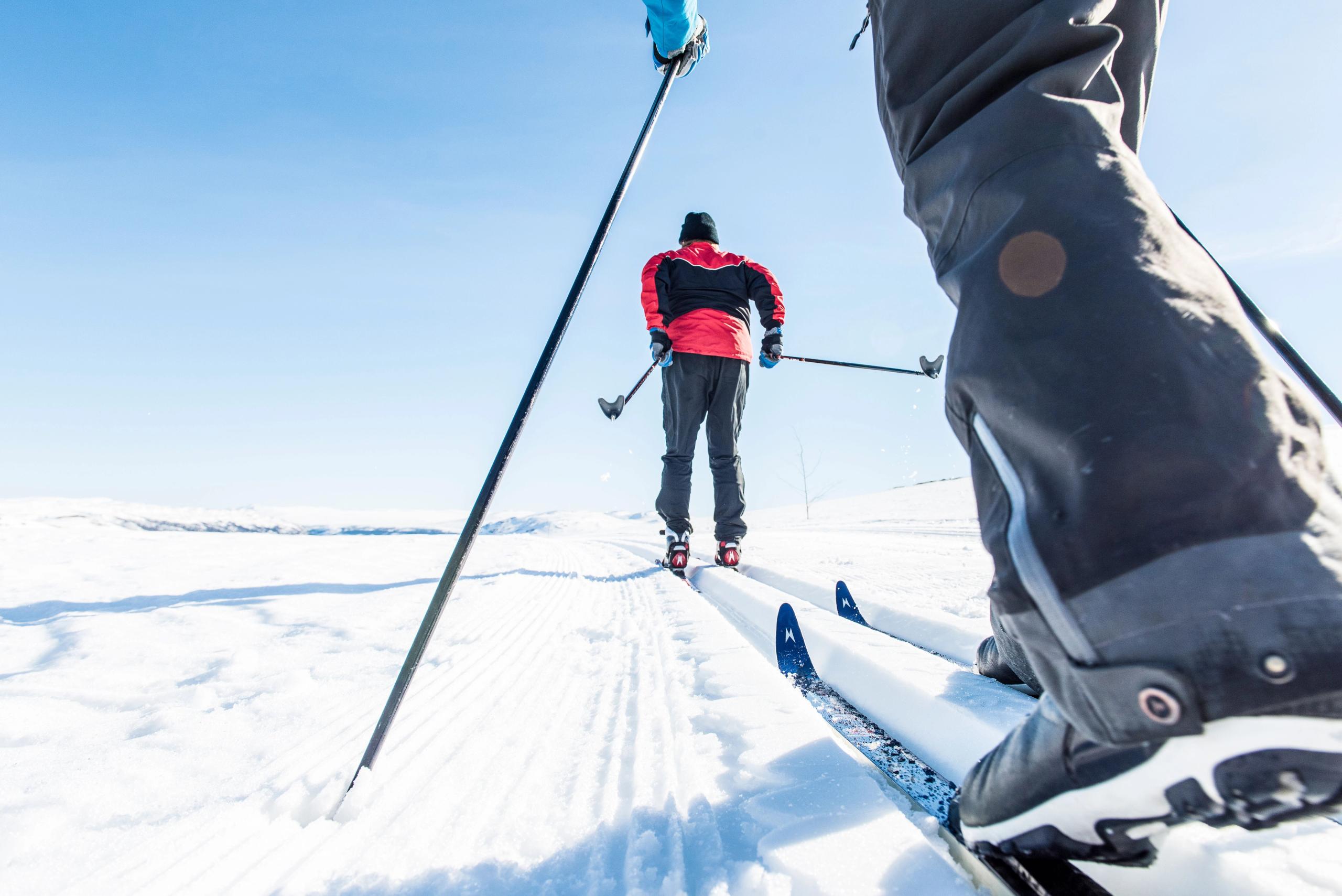 Hardangervidda national park