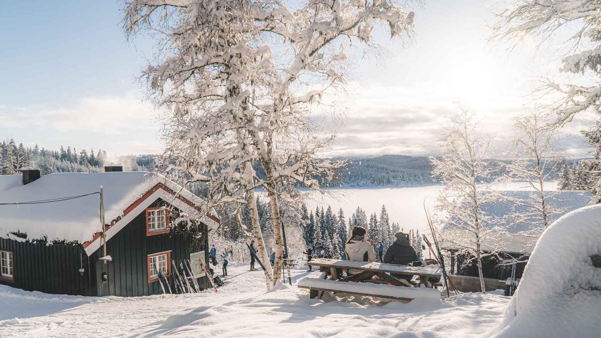 Grønlia