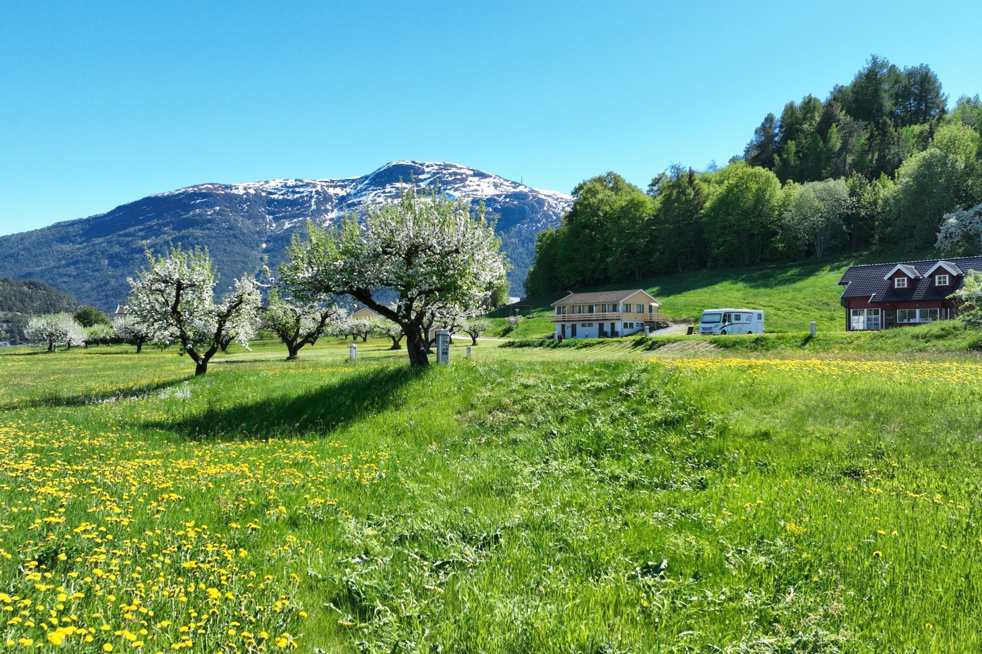 Stedje Camping