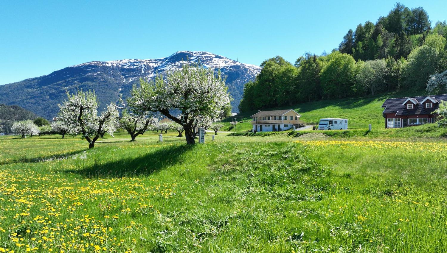 Stedje Camping