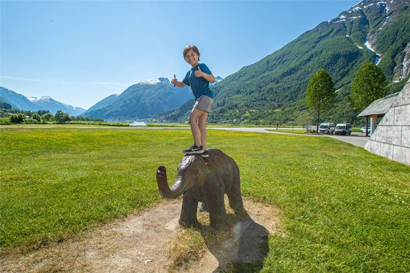 Norwegian Glacier Museum