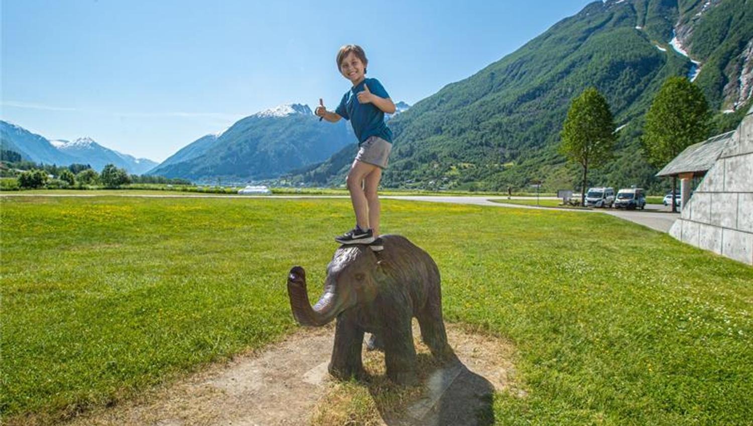 Norwegian Glacier Museum