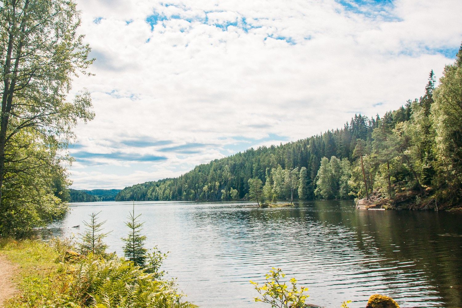 lake with forest and path around