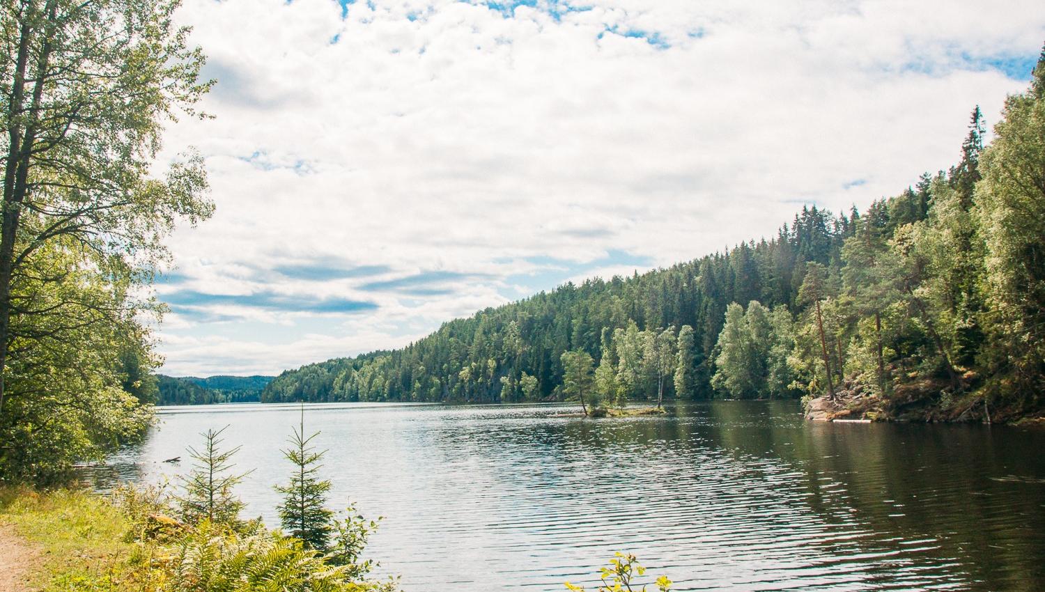 lake with forest and path around