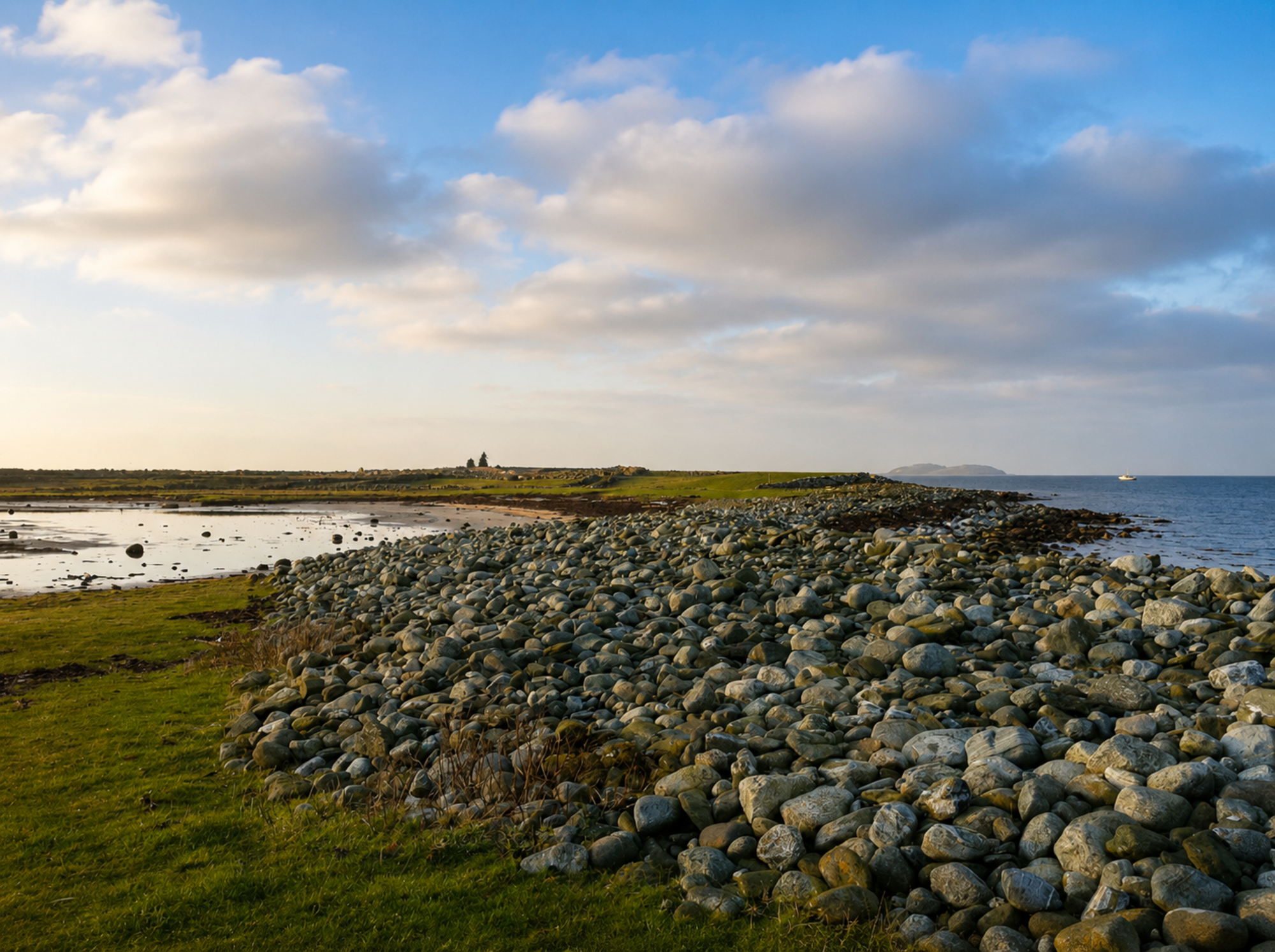 Børaunen