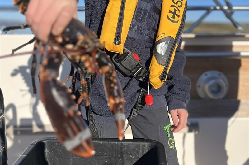 A child holds a lobster over a bucket on the deck of a boat.