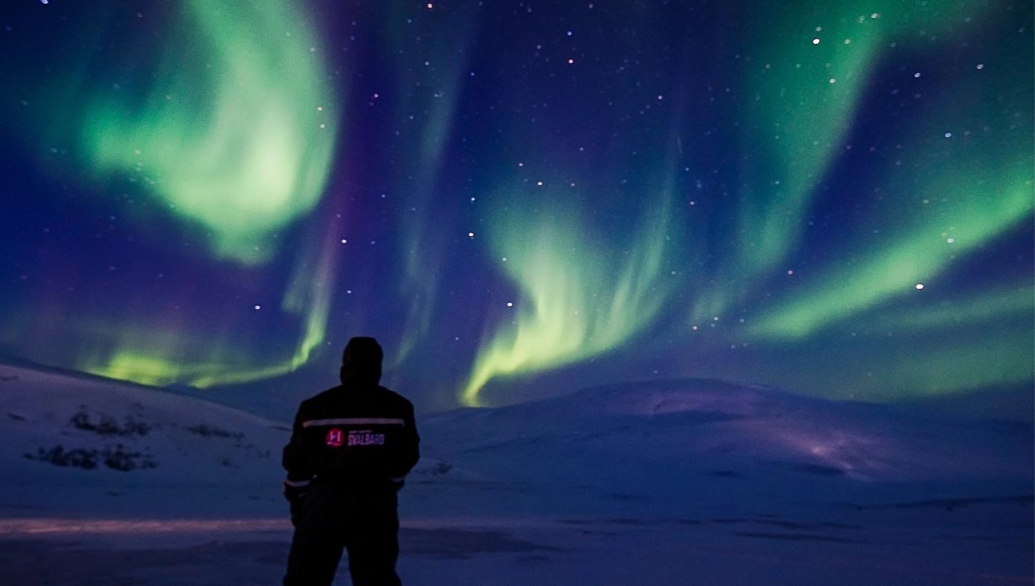 Person looking up at the green norhern lights