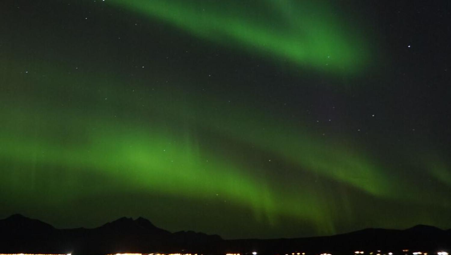 Northern Lights contrast the darkness around them and hover over the fjord