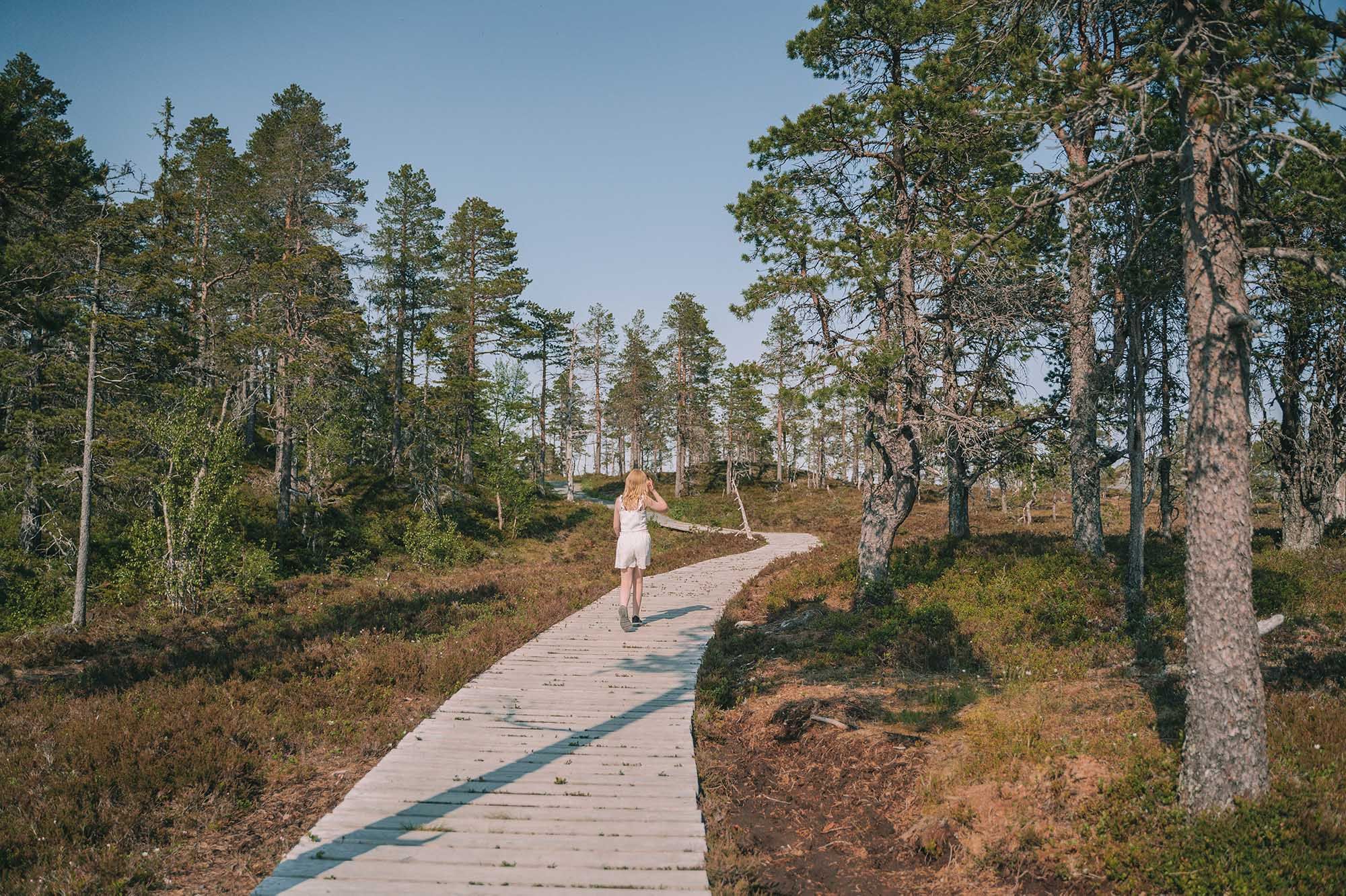 Bukkhaugen_Levanger_Liggende_dinarindsem (15)