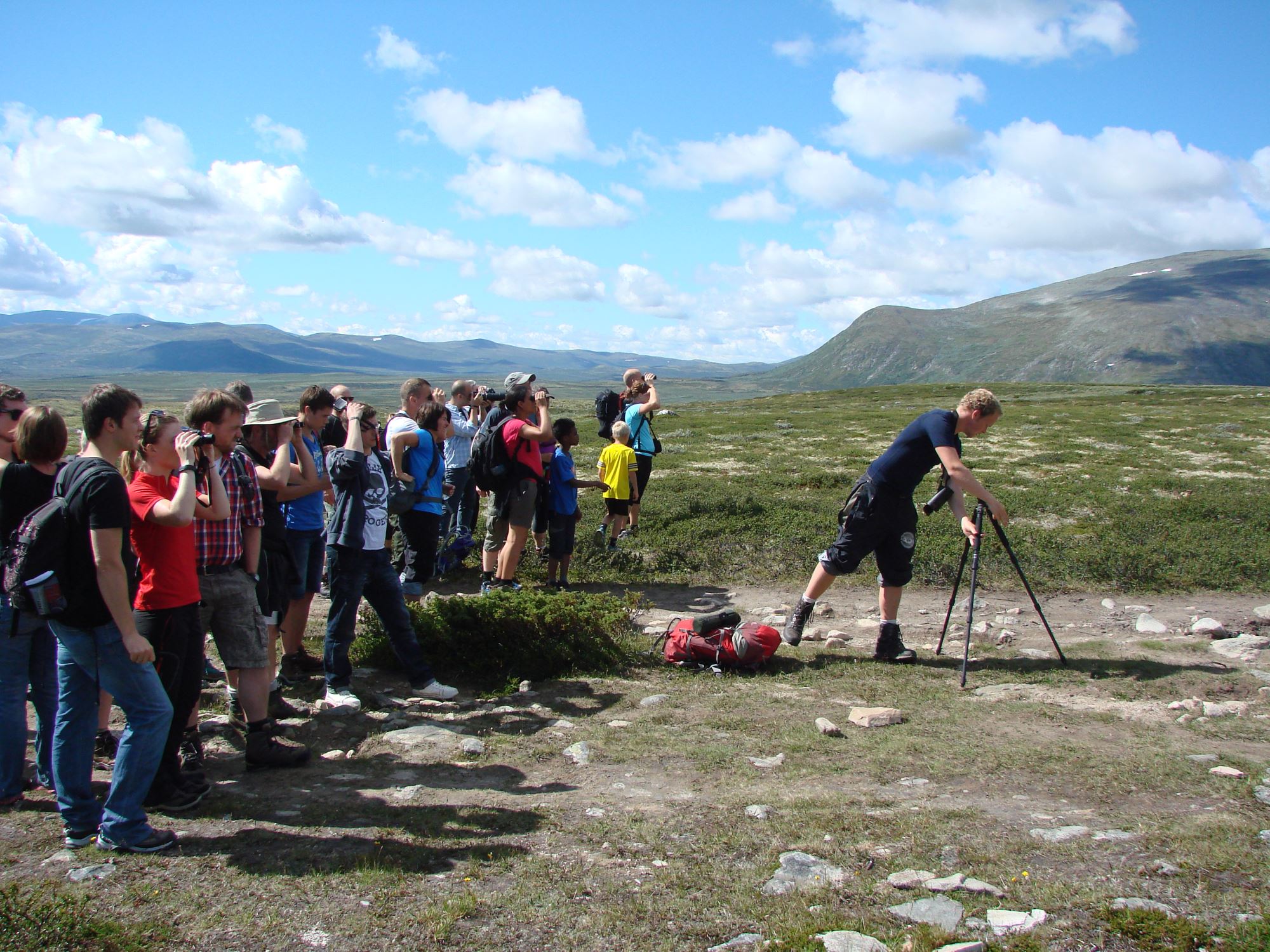 The first musk-ox is observed!