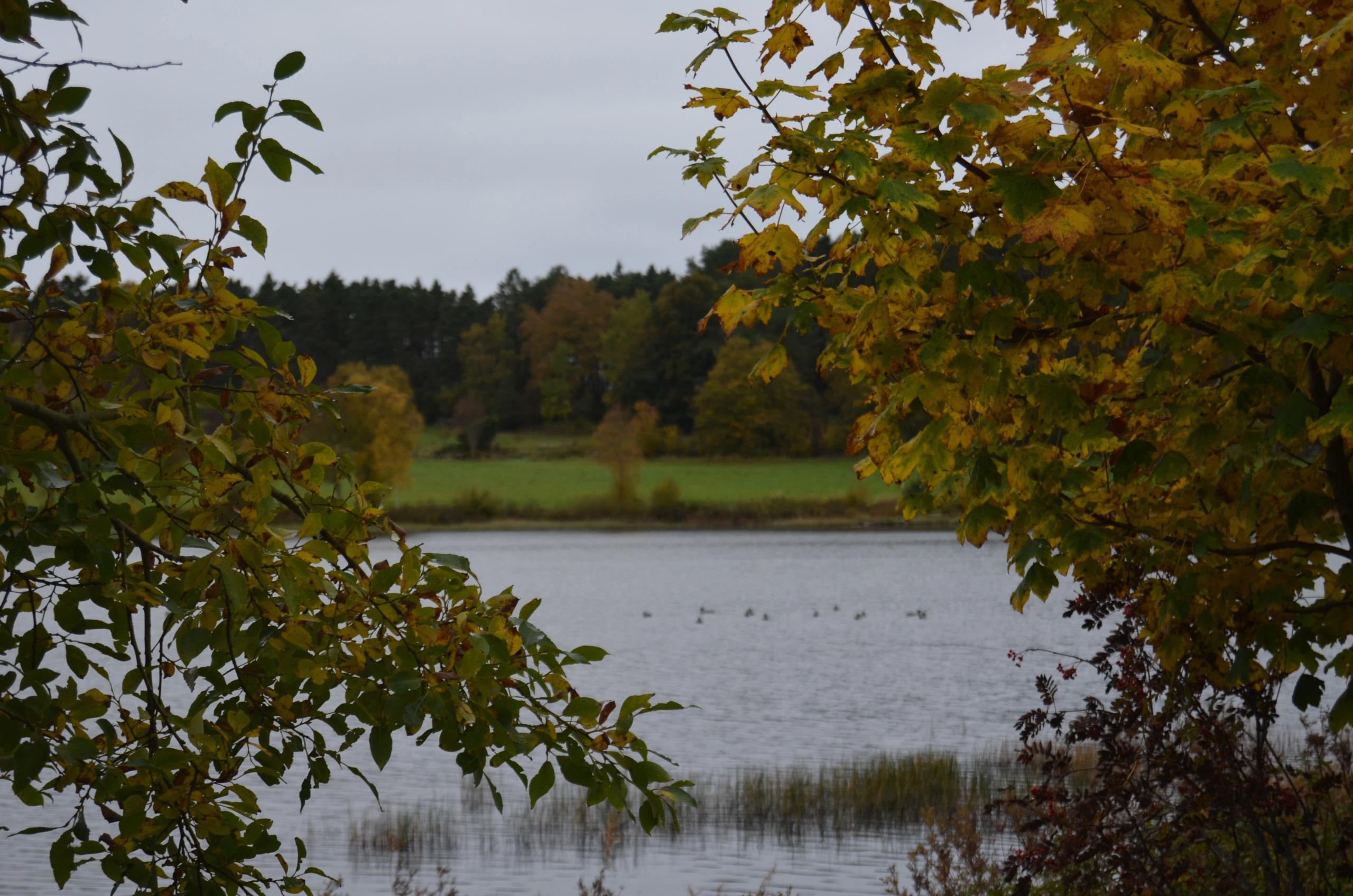 Hålandsvatnet