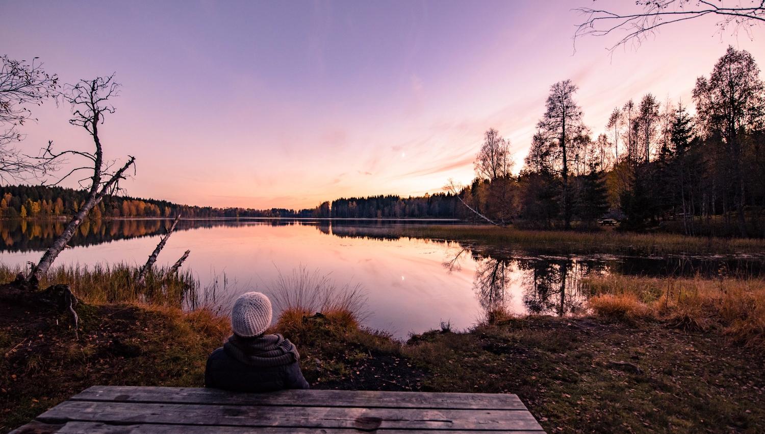 Sognsvann lake during fall