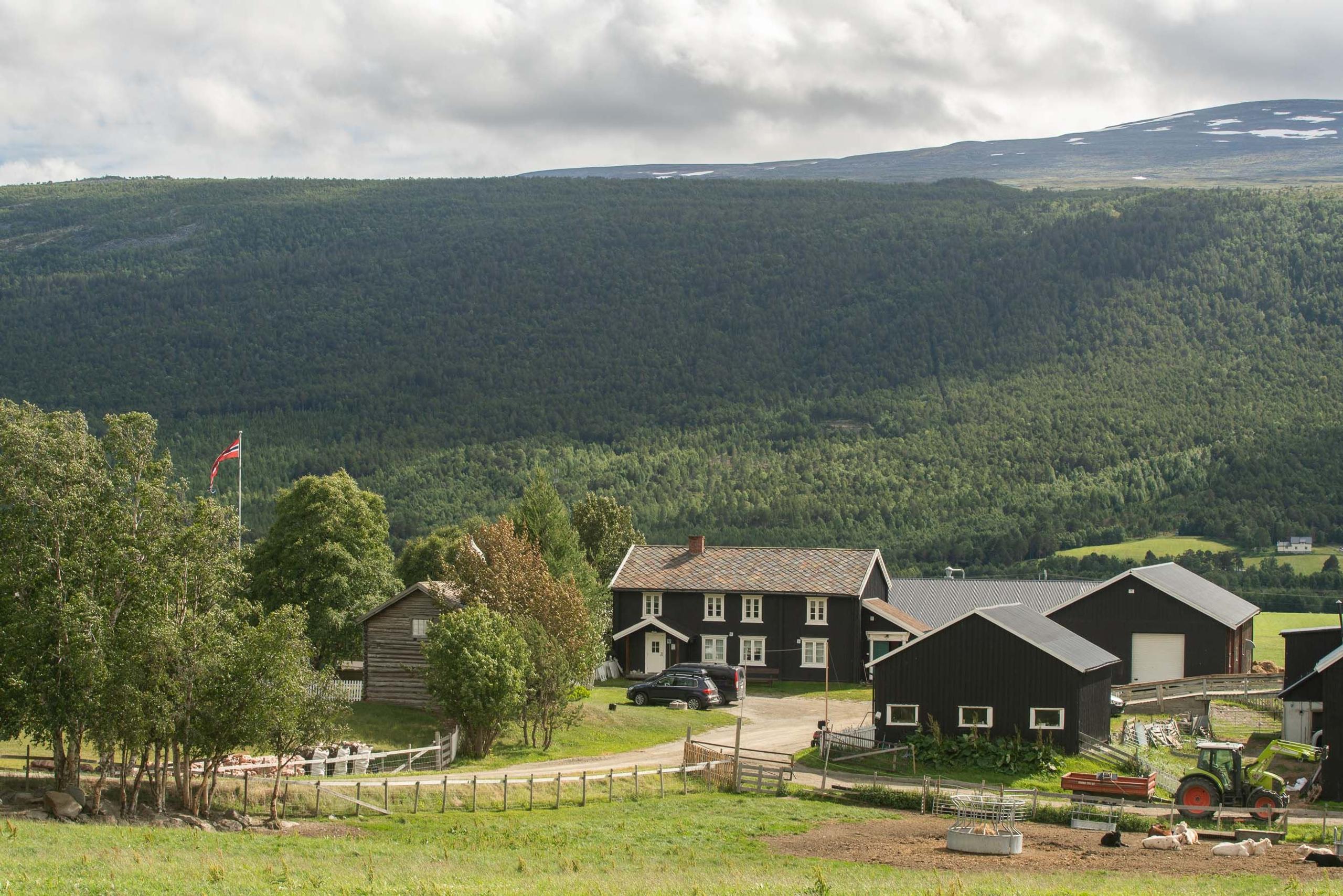 Kolstad Gard: Overnatting i tradisjonsrike omgivelser i Lesja