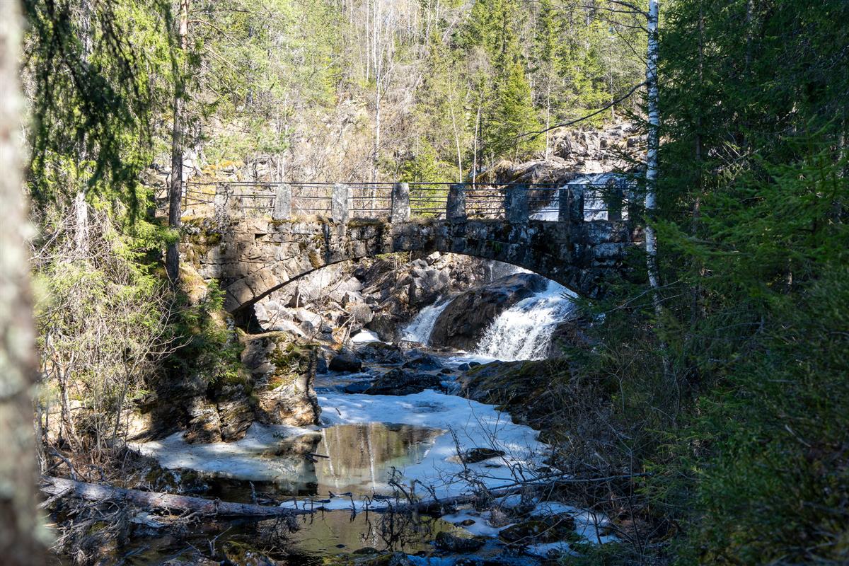 Waterfall flowing under a stone bridge in forest terrain.