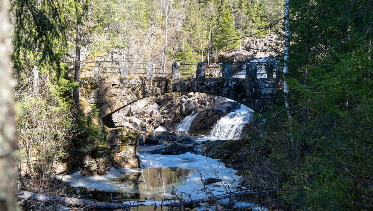 Waterfall flowing under a stone bridge in forest terrain.