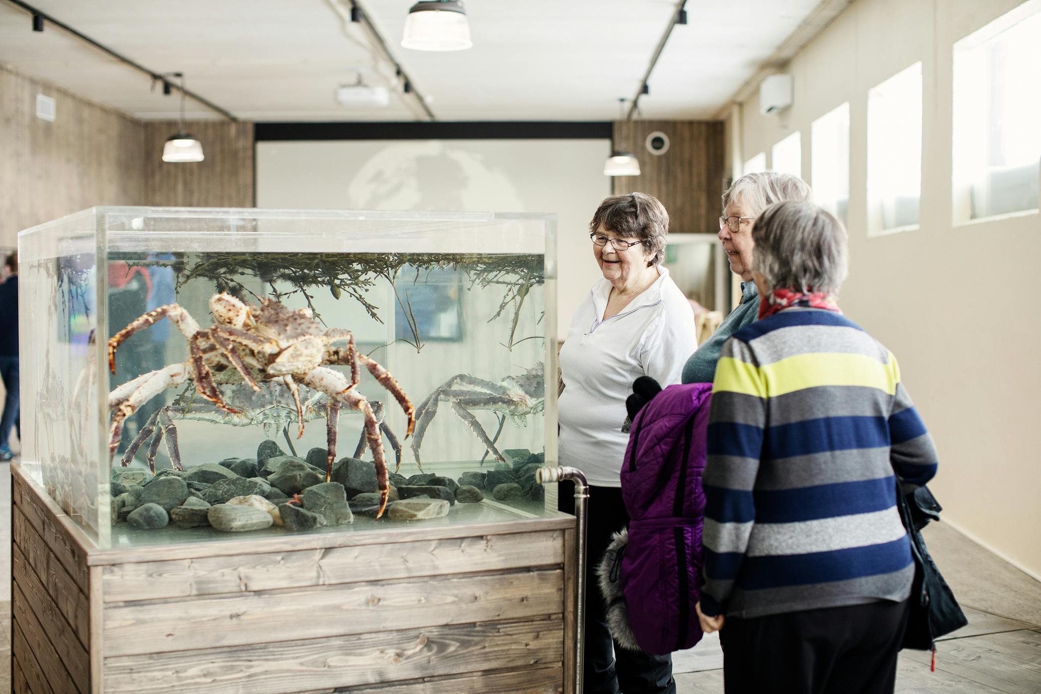Due donne ammirano un grande granchio in un acquario moderno.