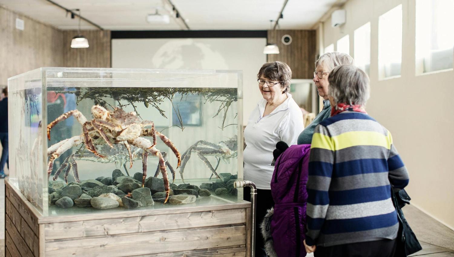 Due donne ammirano un grande granchio in un acquario moderno.
