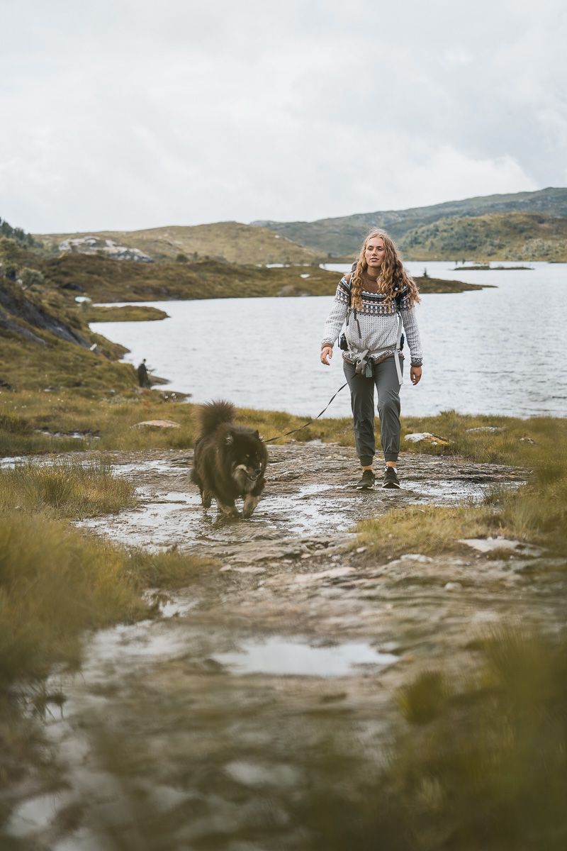 Woman and dog hiking in the mountains at Krokavatnet in Hardanger.